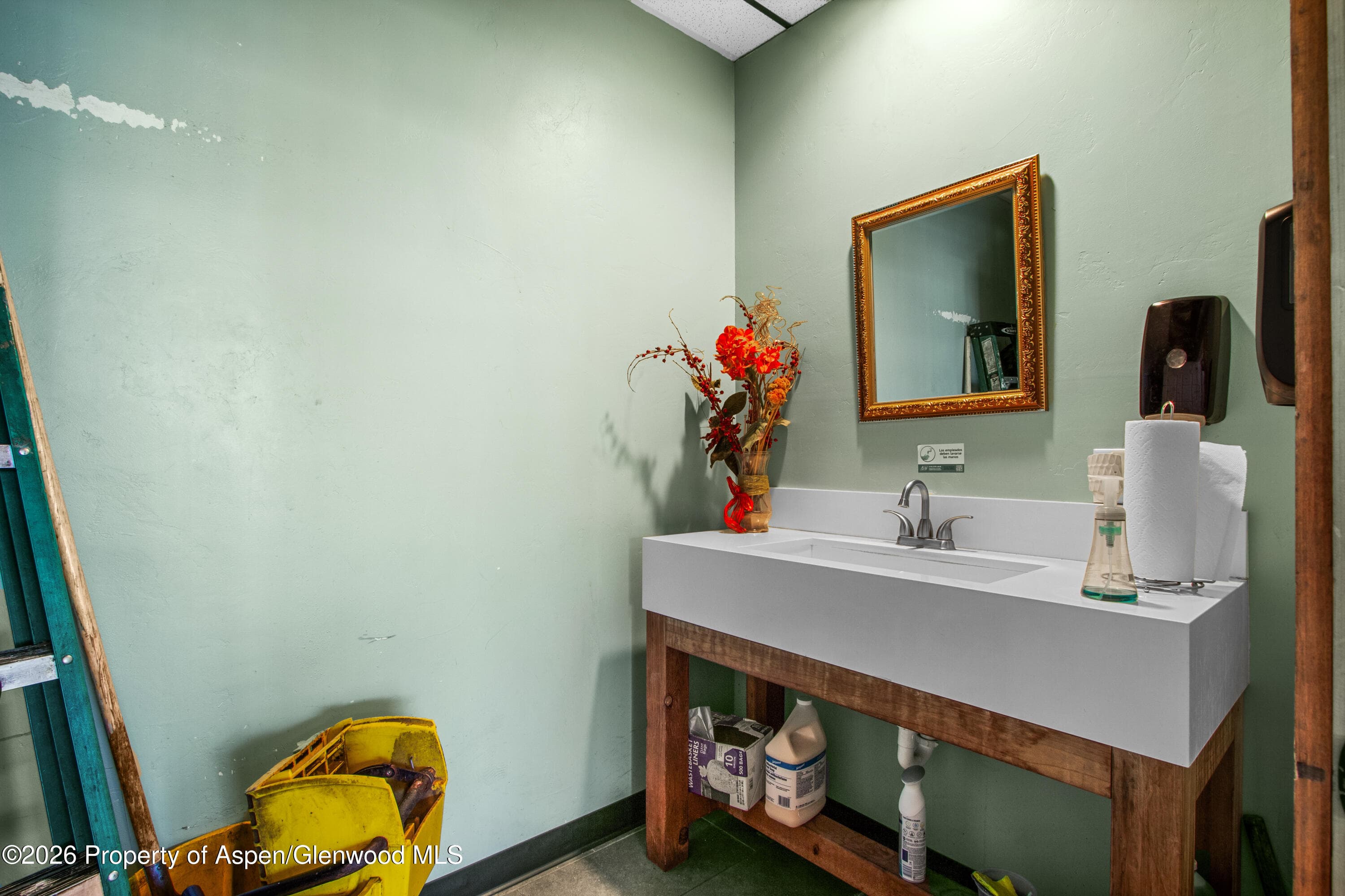 995 Cowen Drive 101, Carbondale, CO 81623 - Photo 15