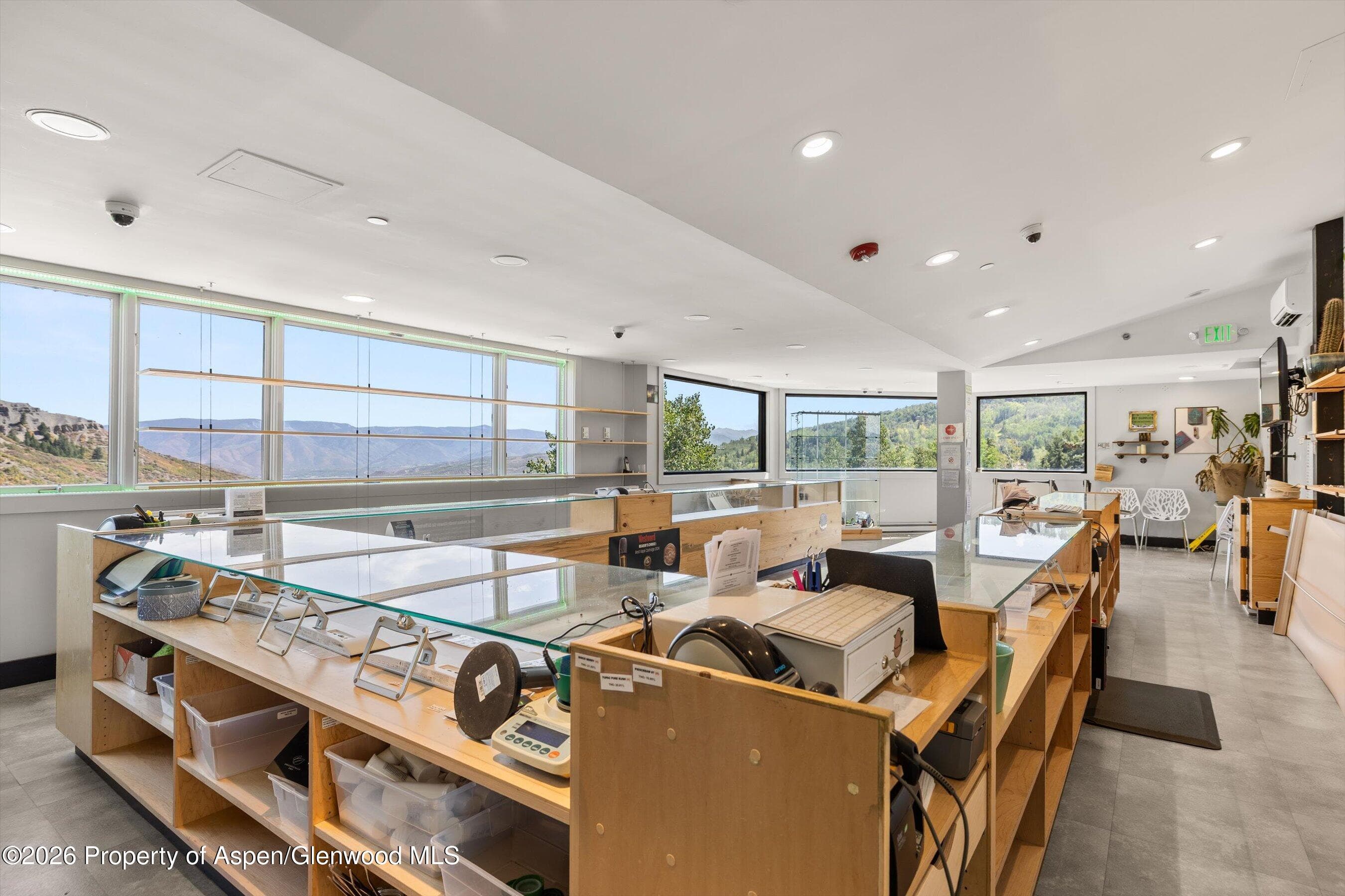 105 Daly Lane Unit 316, Snowmass Village, CO 81615 - Photo 10