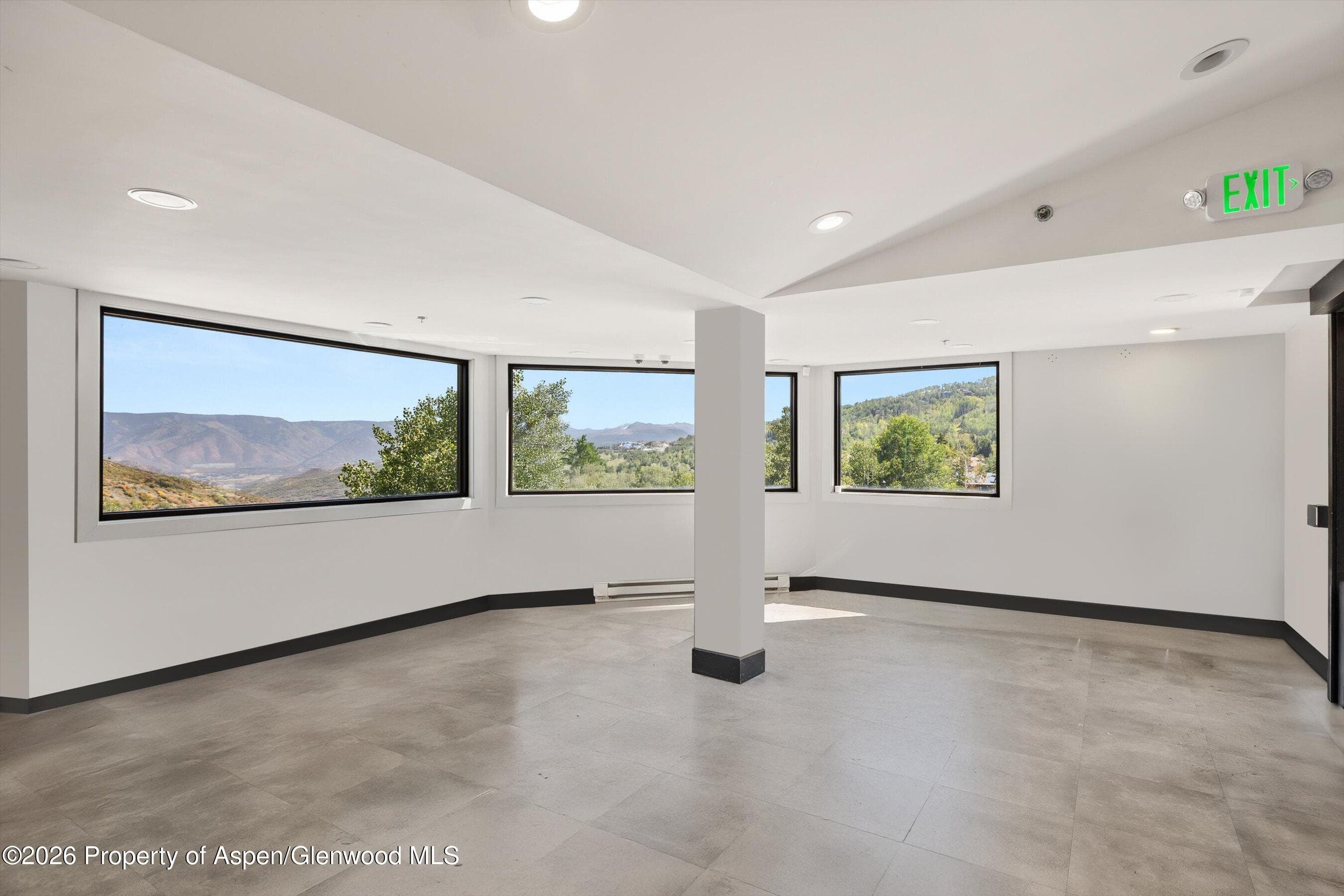 105 Daly Lane Unit 316, Snowmass Village, CO 81615 - Photo 5