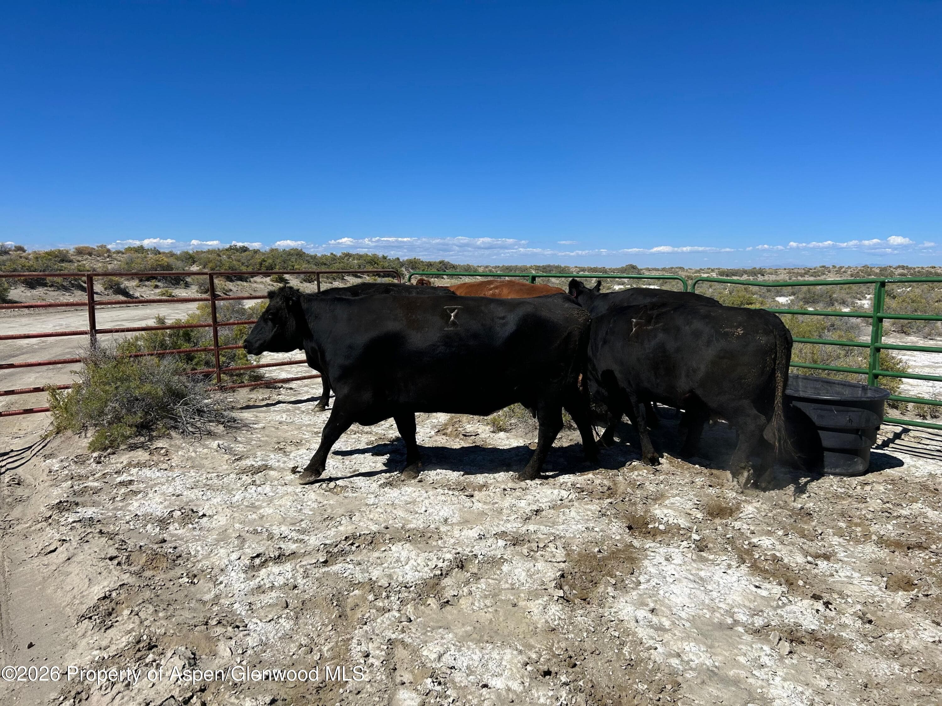 Tbd Alamosa County Parcel #5139301, Alamosa, CO 81101 - Photo 2