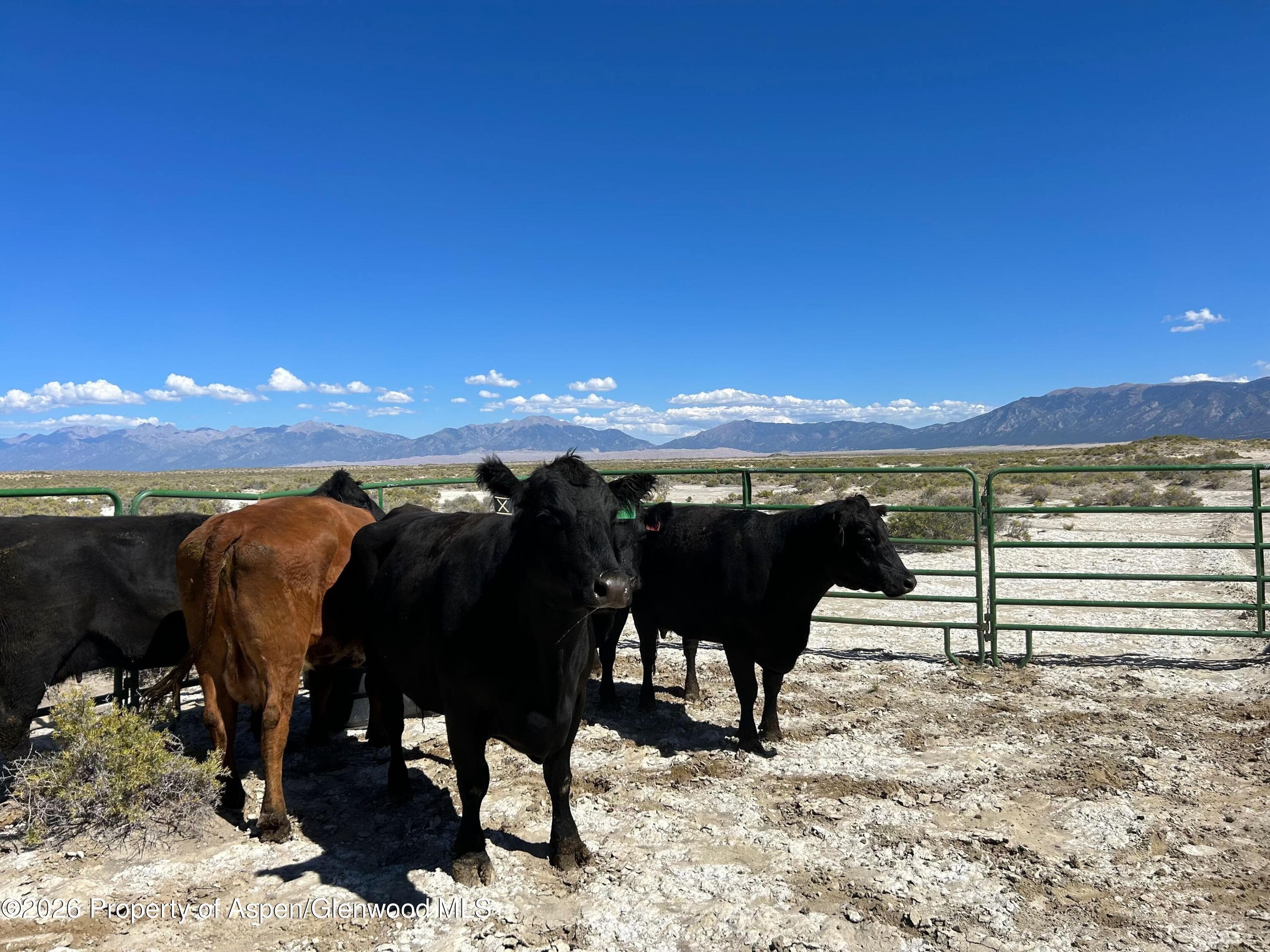 Tbd Alamosa County Parcel #5139301, Alamosa, CO 81101 - Photo 3