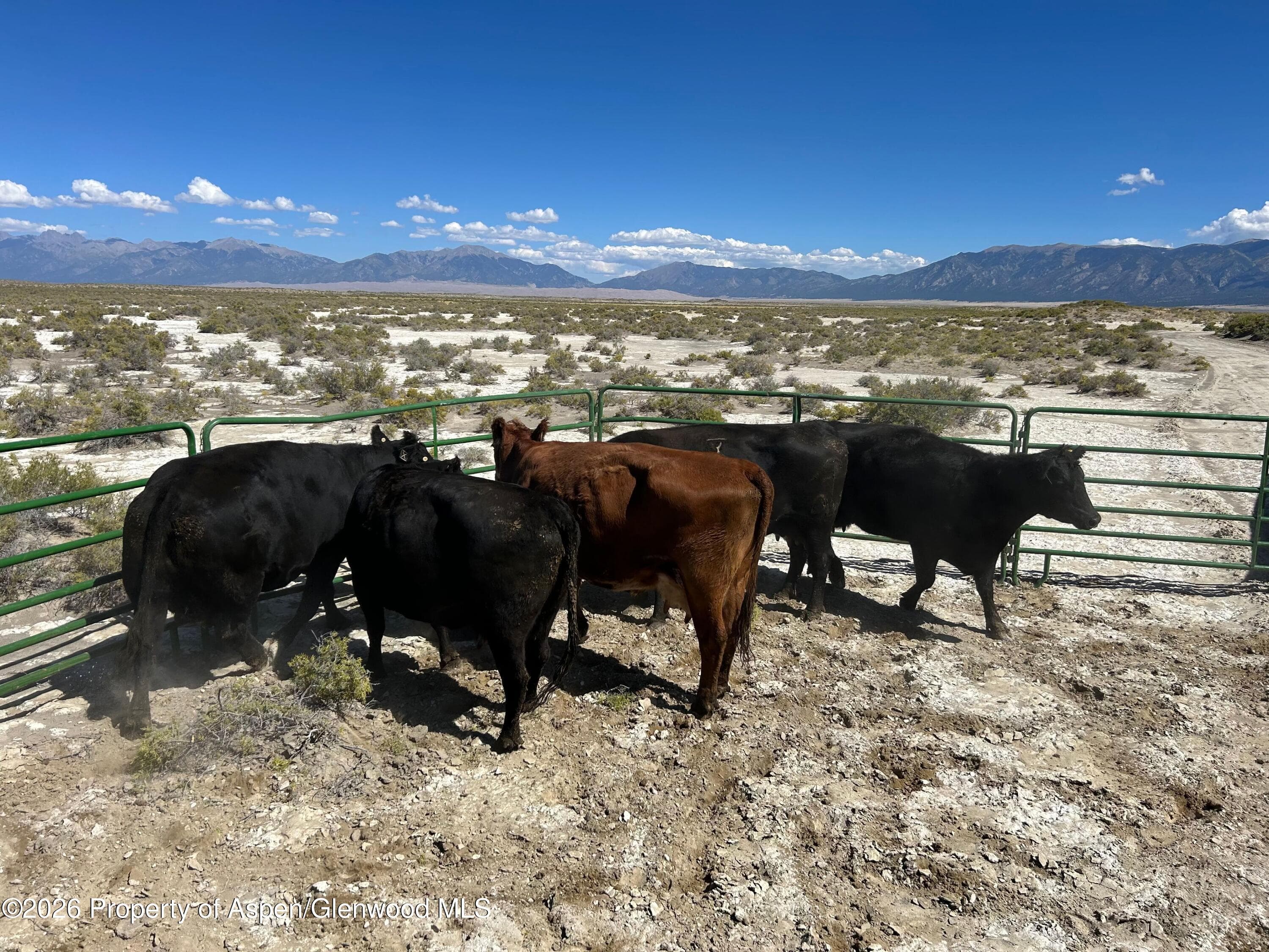 Tbd Alamosa County Parcel #5139301, Alamosa, CO 81101 - Photo 4