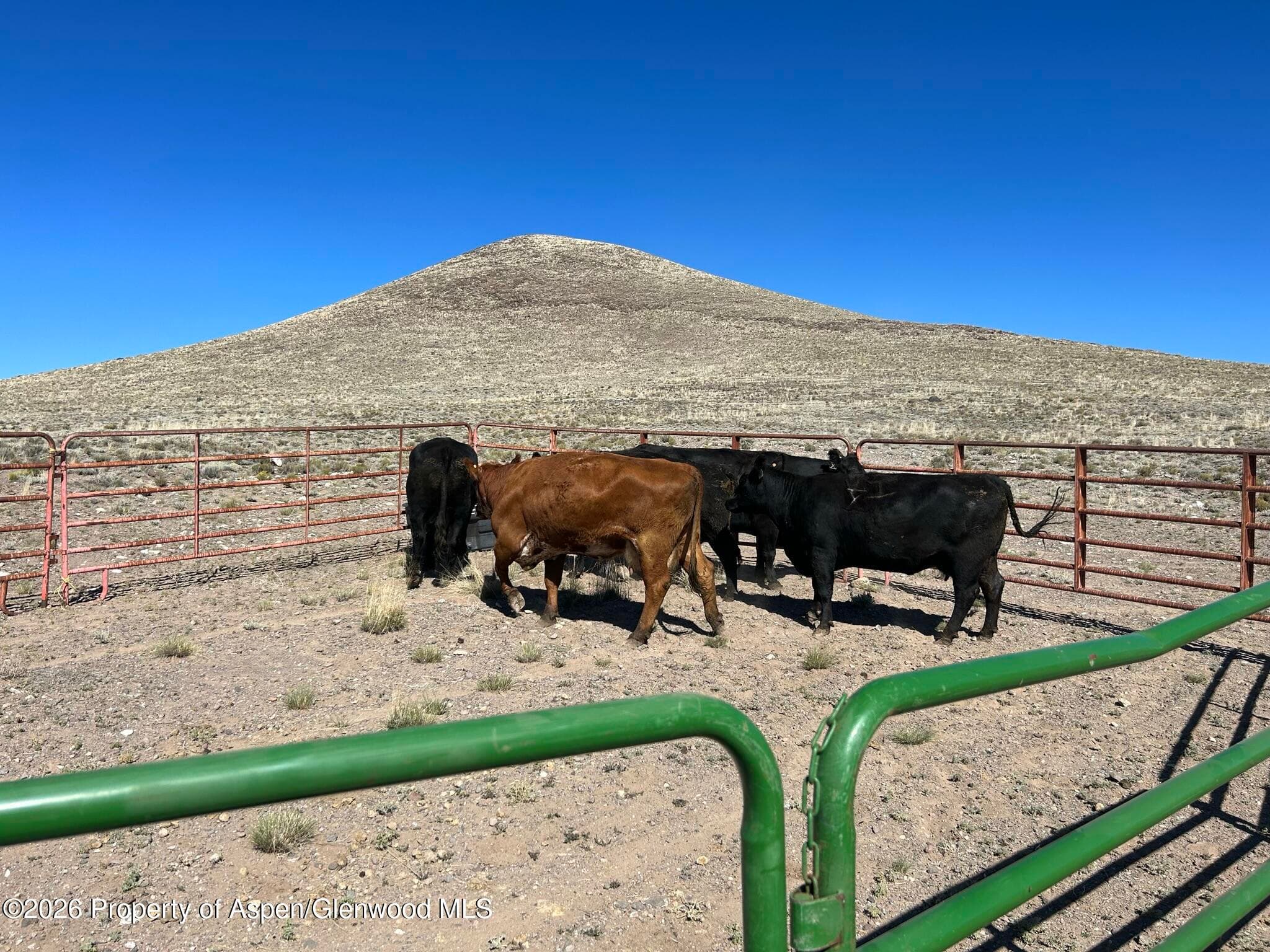 Tbd Costilla County Parcel #400022, Blanca, CO 81123 - Photo 1