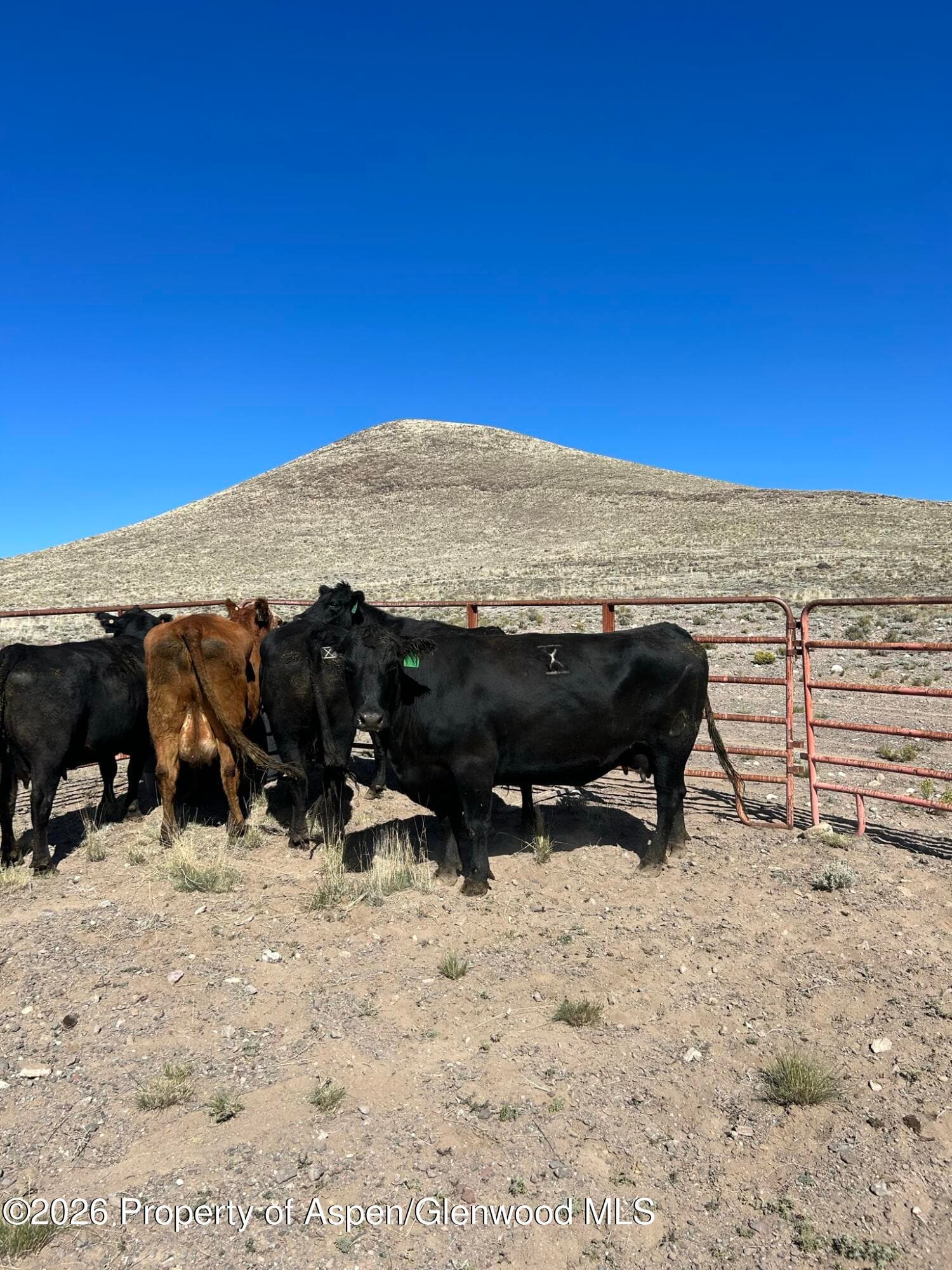 Tbd Costilla County Parcel #400022, Blanca, CO 81123 - Photo 3