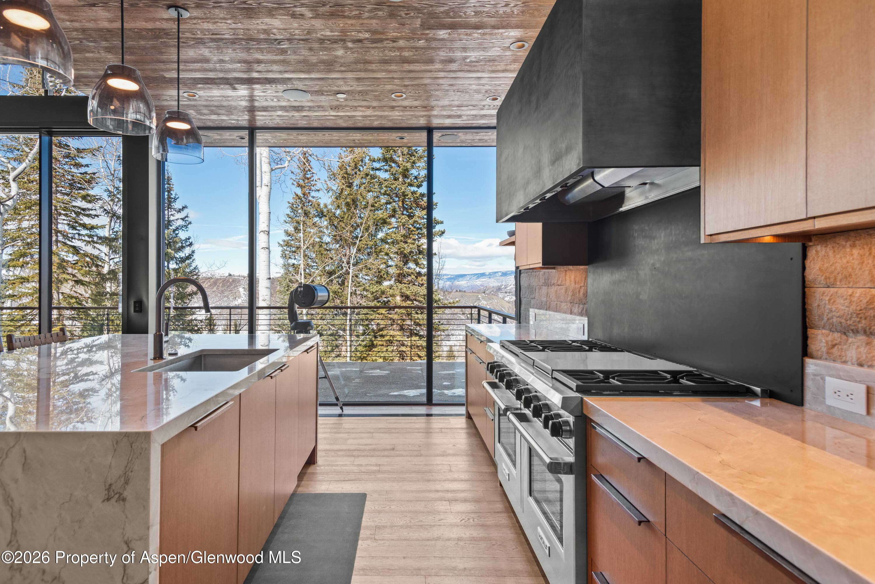 99 Forest Lane, Snowmass Village, CO 81615 - Photo 5