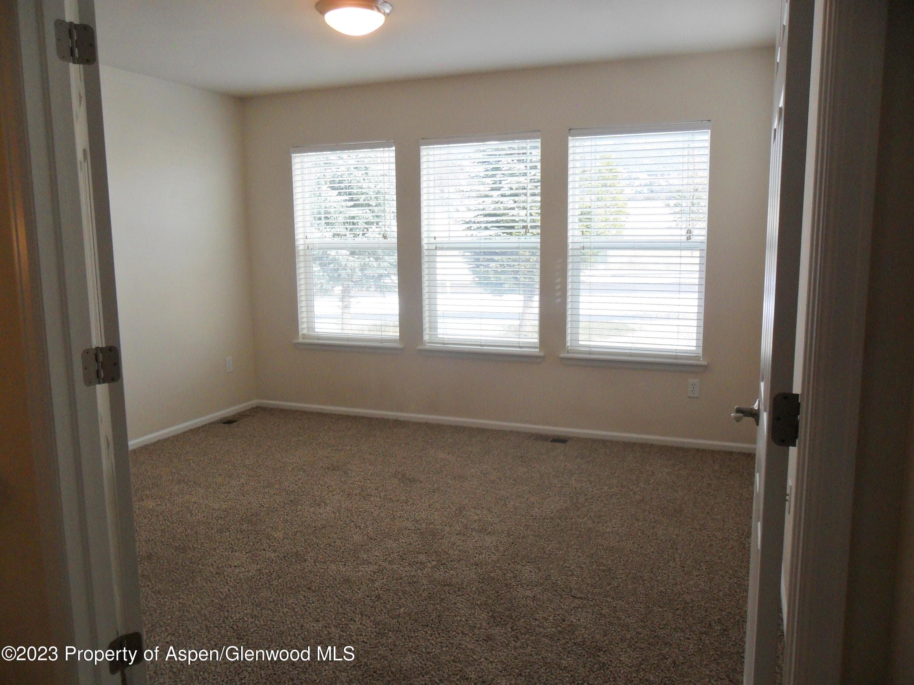 144 E Cathedral Court, New Castle, CO 81647 - Photo 13