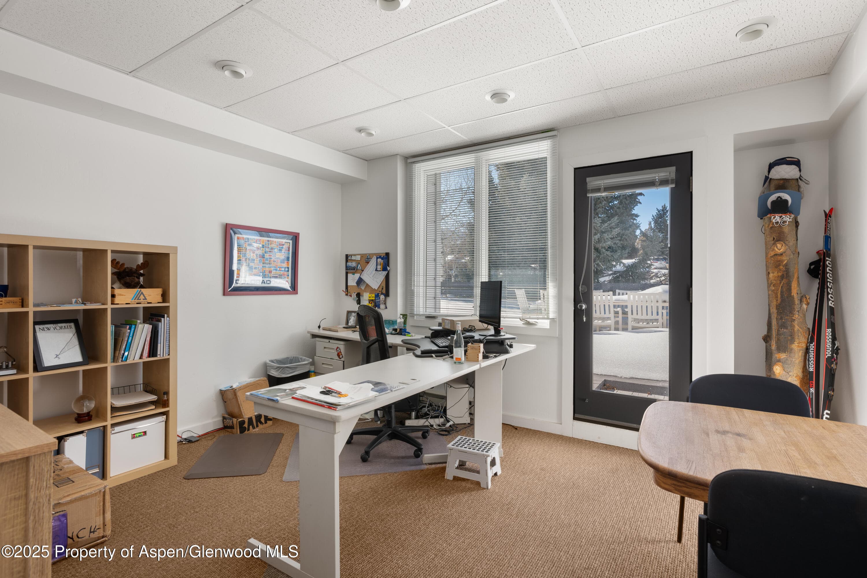 210 Aspen Airport Business, Aspen, CO 81611 - Photo 13