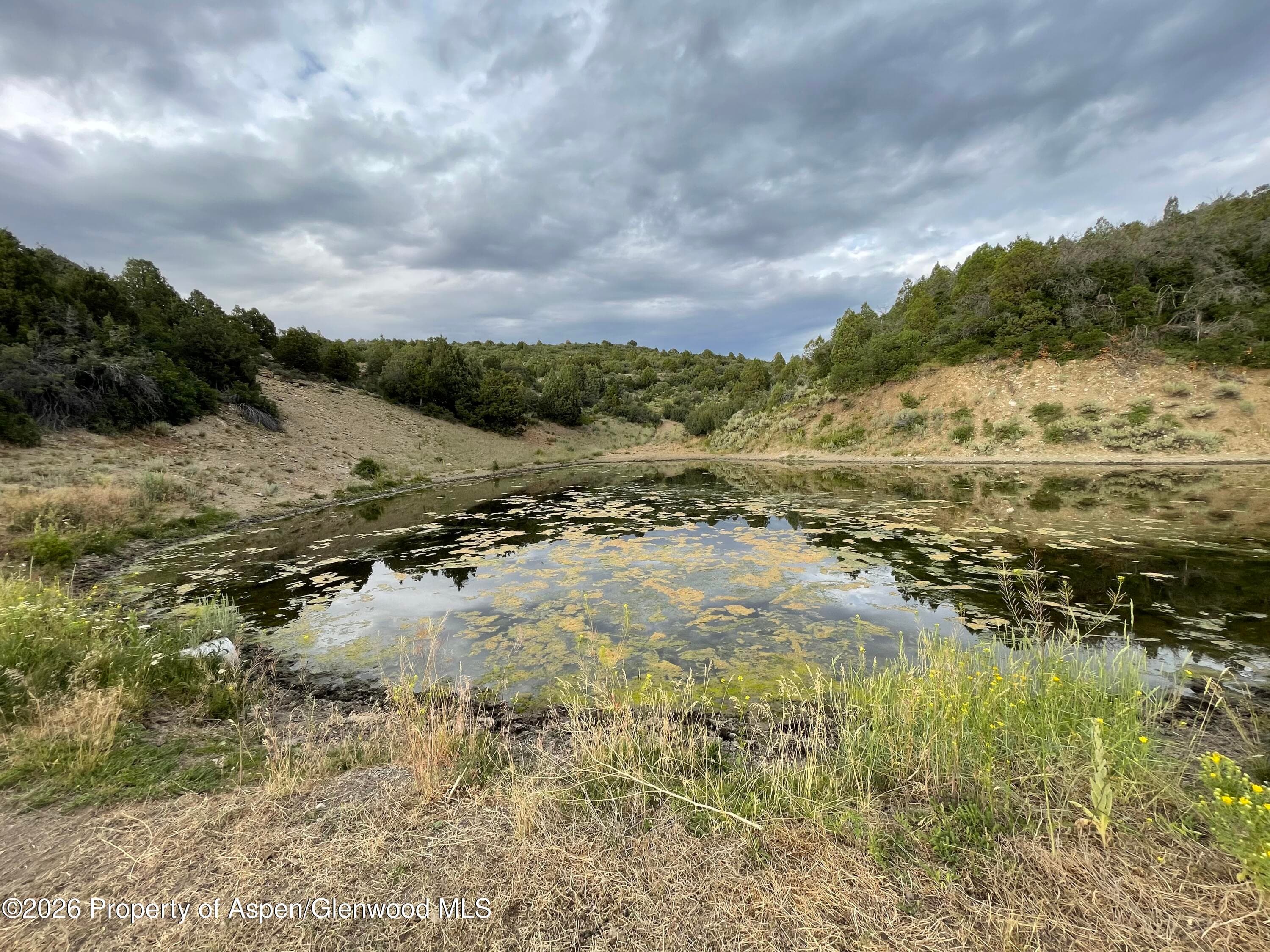 65061 Highway 64, Meeker, CO 81641 - Photo 36
