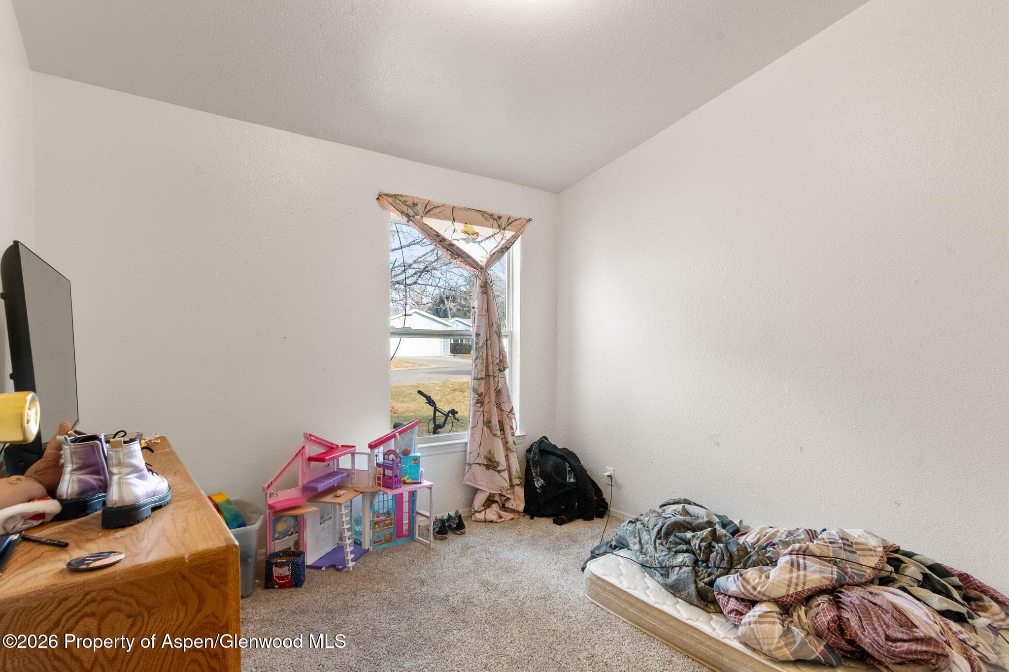 203 E Tamarack Circle, Parachute, CO 81635 - Photo 11