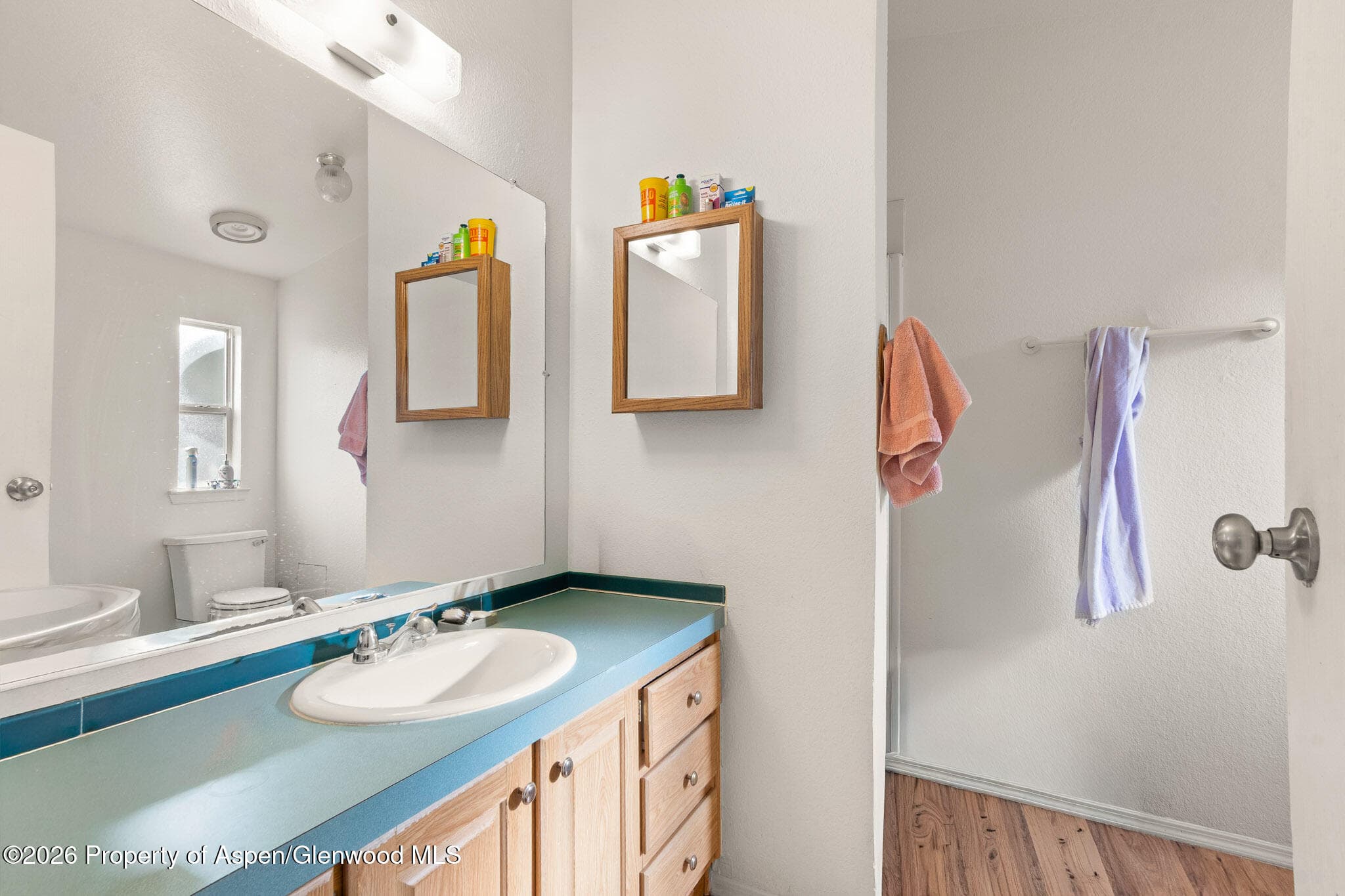 203 E Tamarack Circle, Parachute, CO 81635 - Photo 10