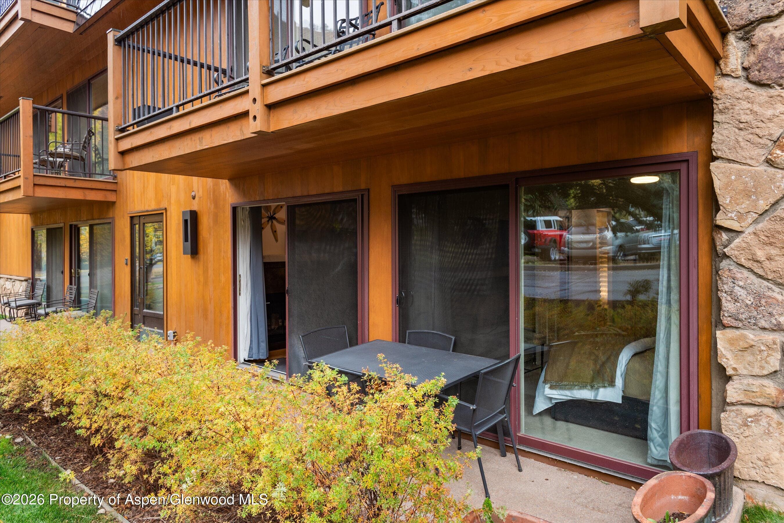 205 E Durant Avenue 1-B, Aspen, CO 81611 - Photo 9
