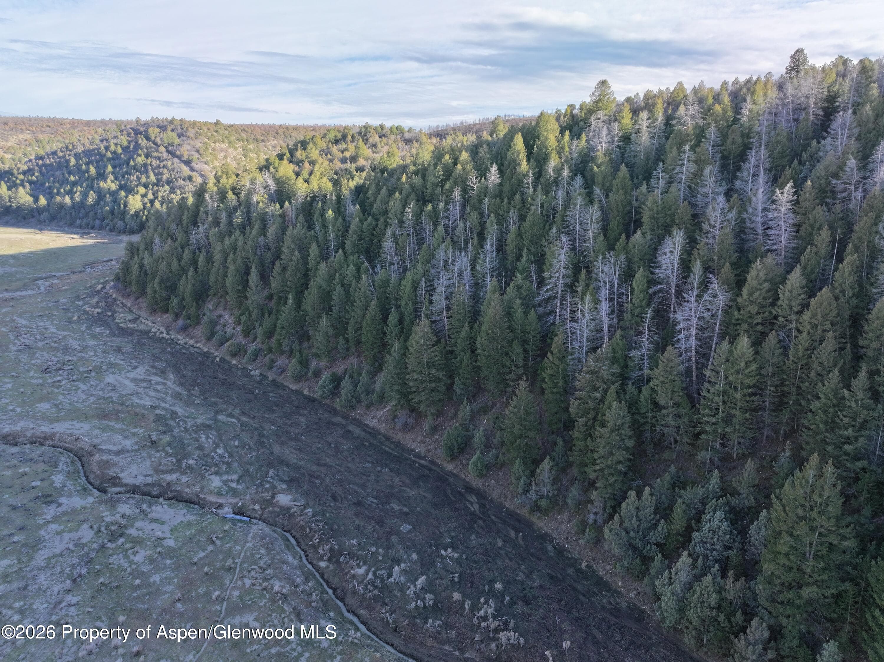 65061 Highway 64, Meeker, CO 81641 - Photo 39