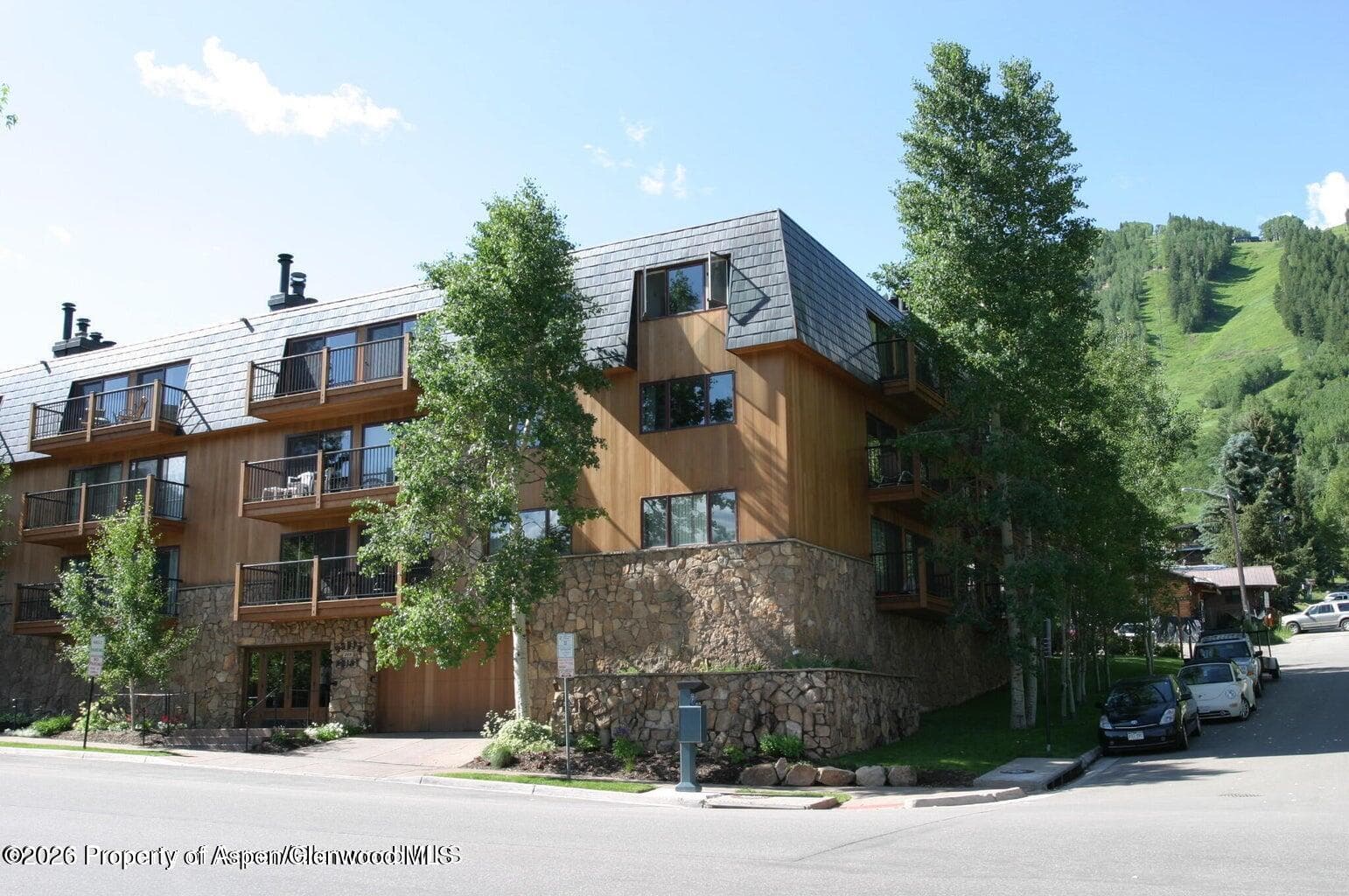 205 E Durant Avenue 1-B, Aspen, CO 81611 - Photo 10