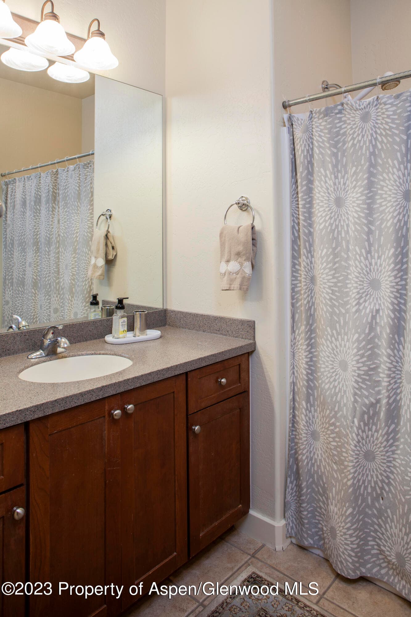 532 Evans Court, Basalt, CO 81621 - Photo 13