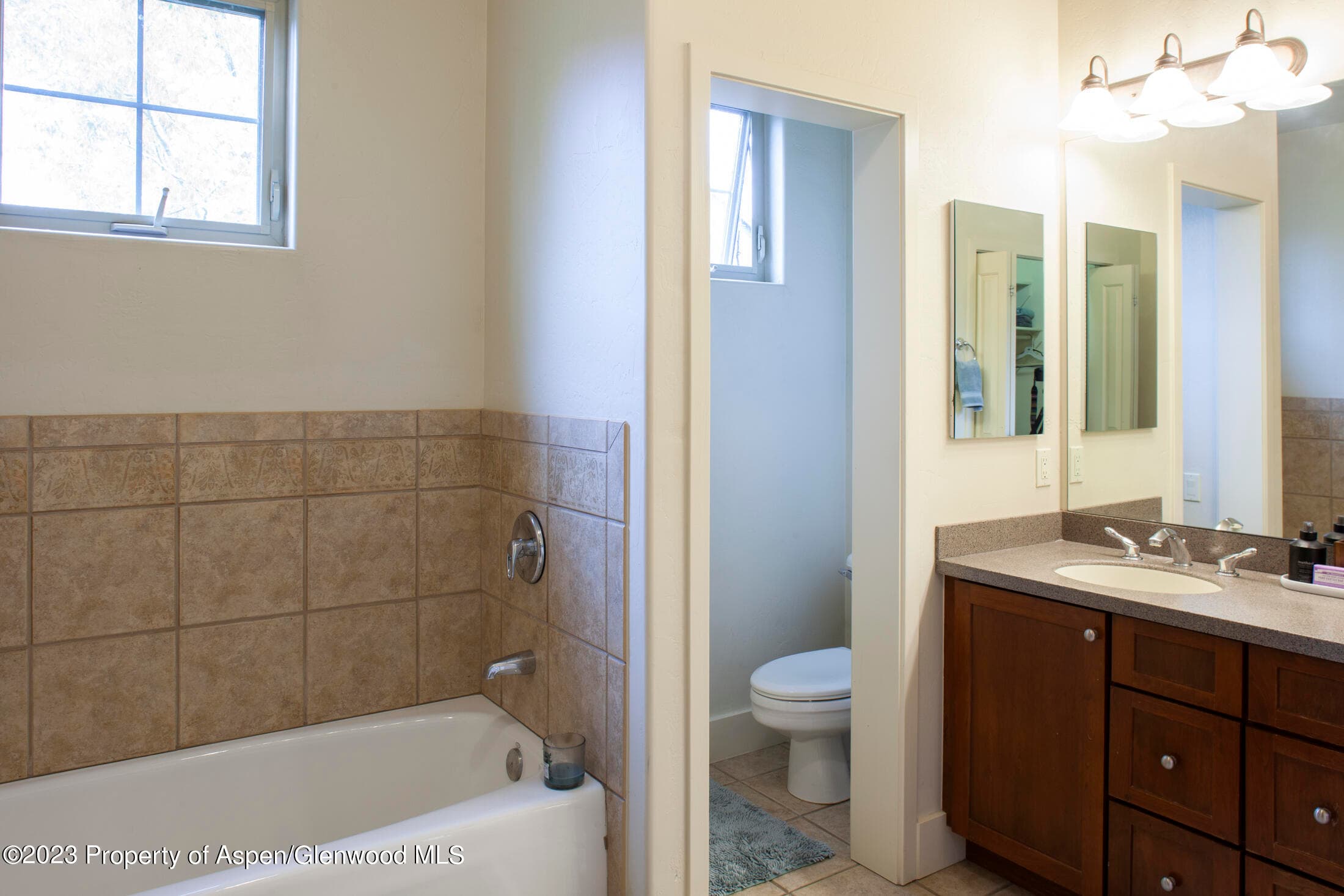532 Evans Court, Basalt, CO 81621 - Photo 16