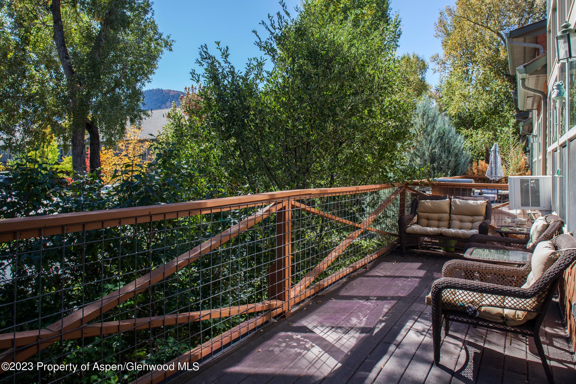 532 Evans Court, Basalt, CO 81621 - Photo 17