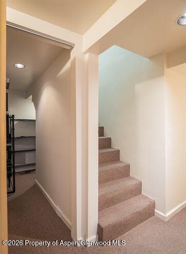 108 Park Drive, Glenwood Springs, CO 81601 - Photo 15
