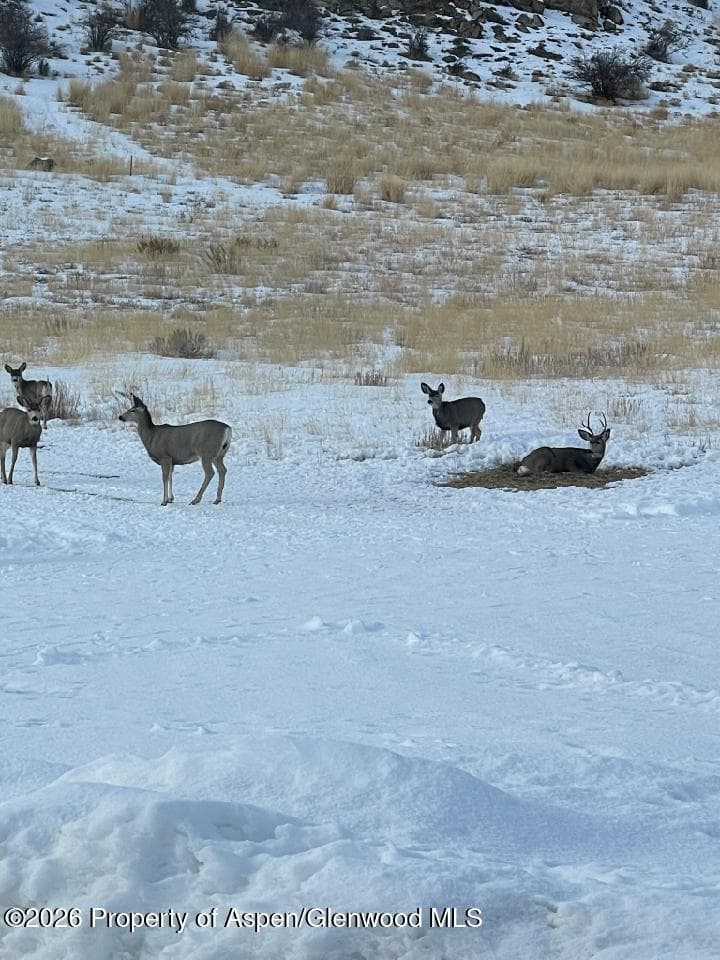 TBD Pine Ridge Trail, Craig, CO 81625 - Photo 10