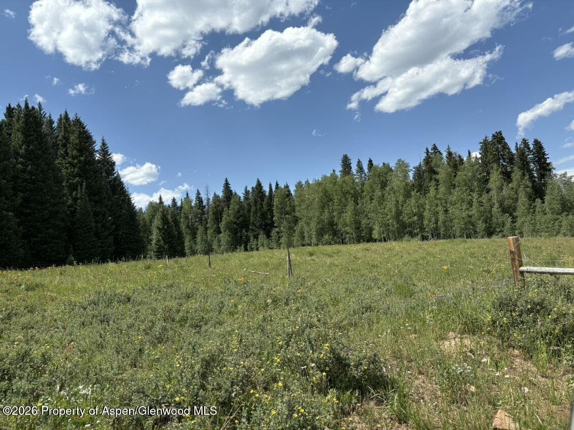 Tbd Alamosa County Parcel #5139301, Alamosa, CO 81101 - Photo 10