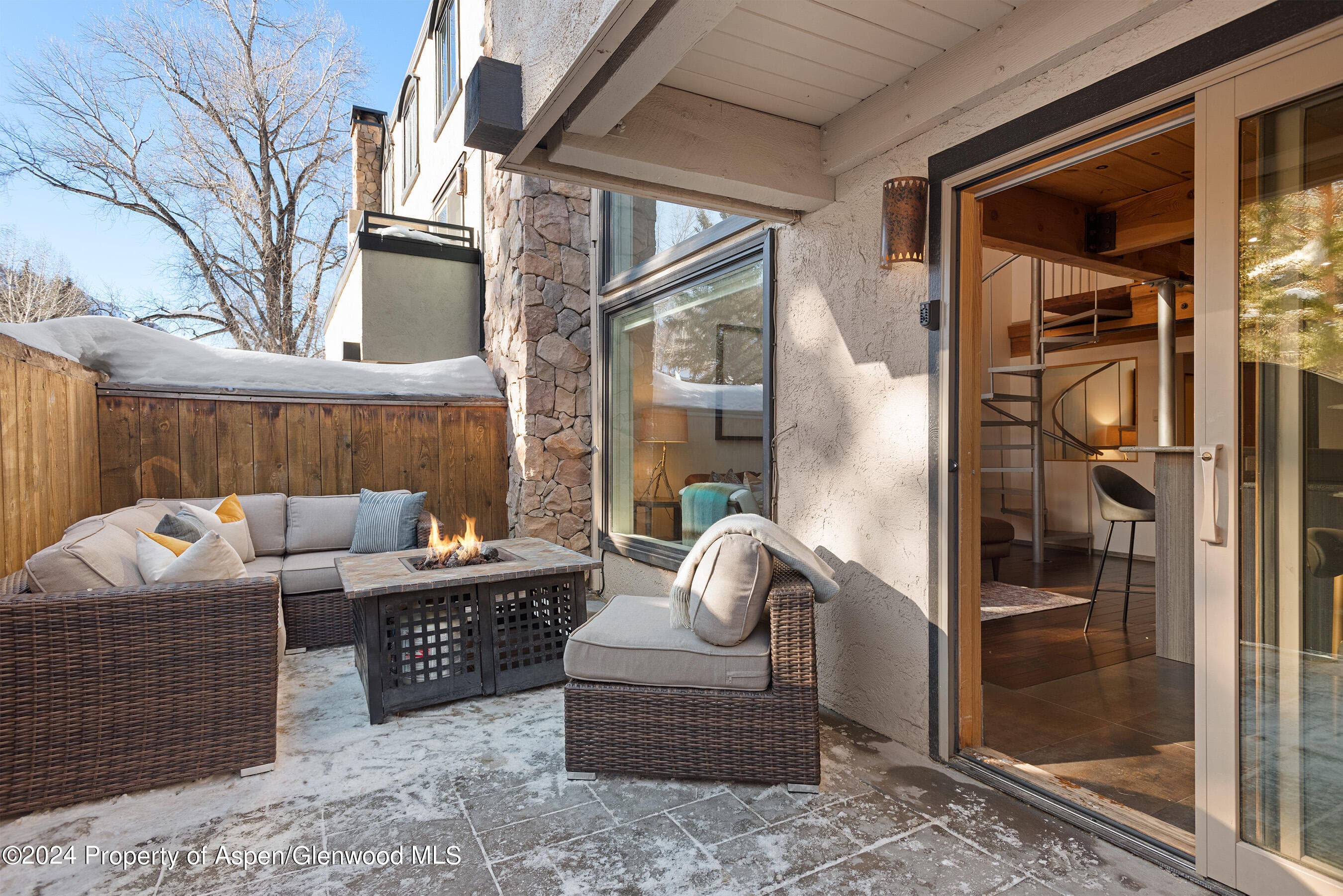 1024 E Cooper Avenue 3a, Aspen, CO 81611 - Photo 19