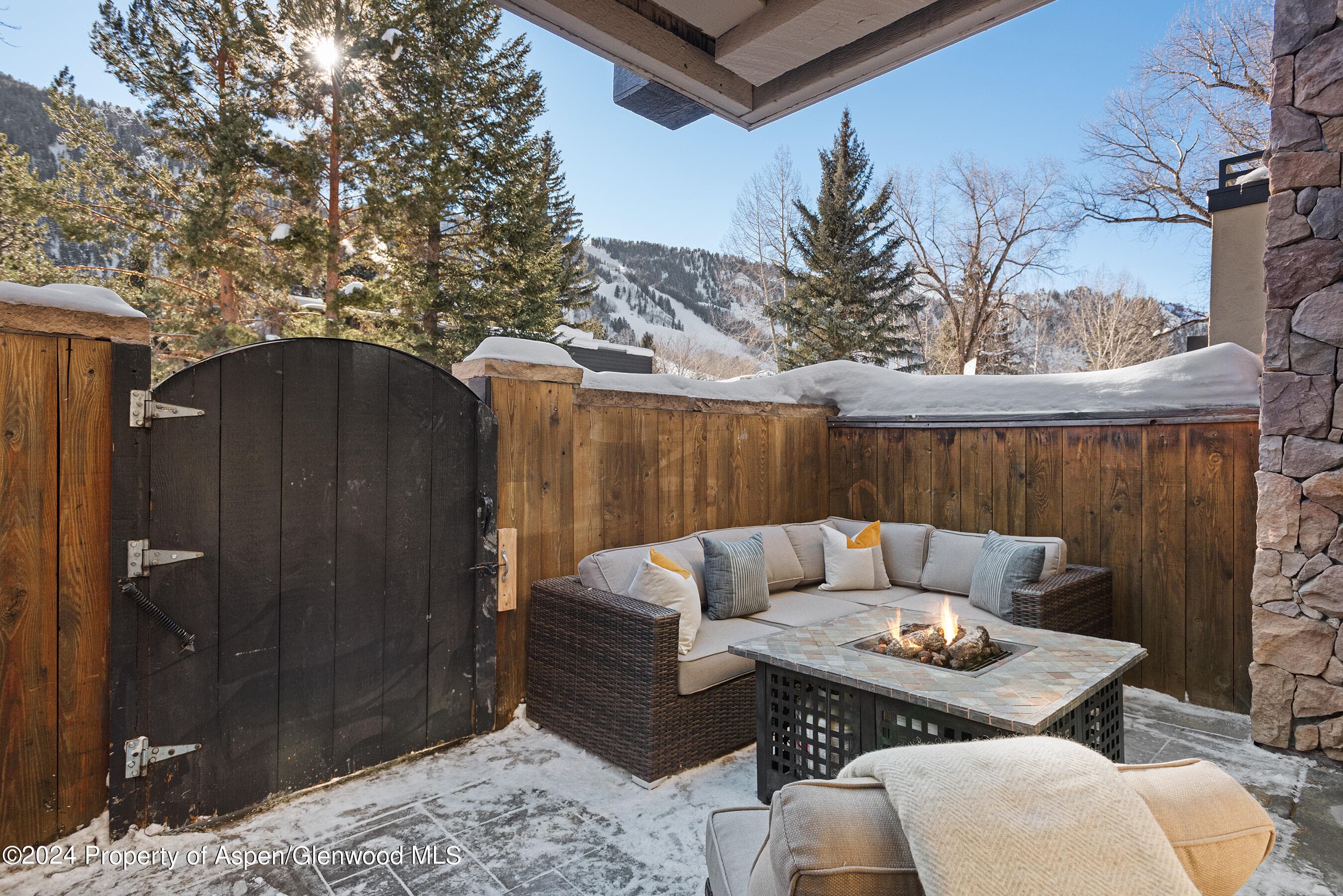 1024 E Cooper Avenue 3a, Aspen, CO 81611 - Photo 21