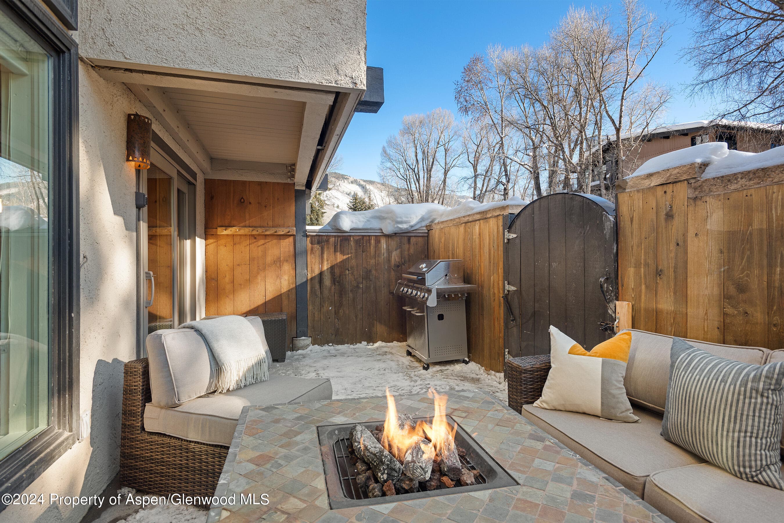 1024 E Cooper Avenue 3a, Aspen, CO 81611 - Photo 22
