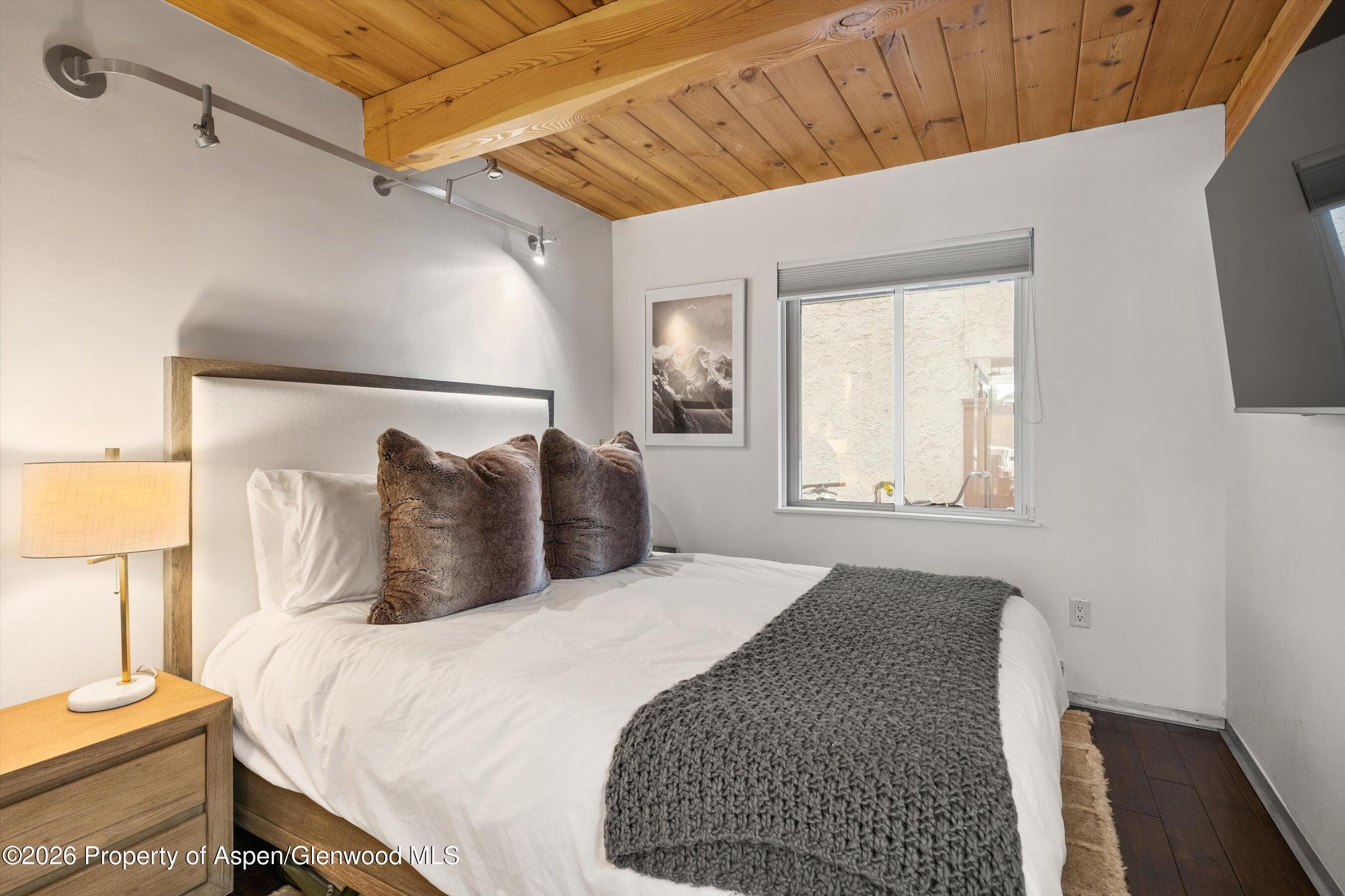 1024 E Cooper Avenue 3a, Aspen, CO 81611 - Photo 12