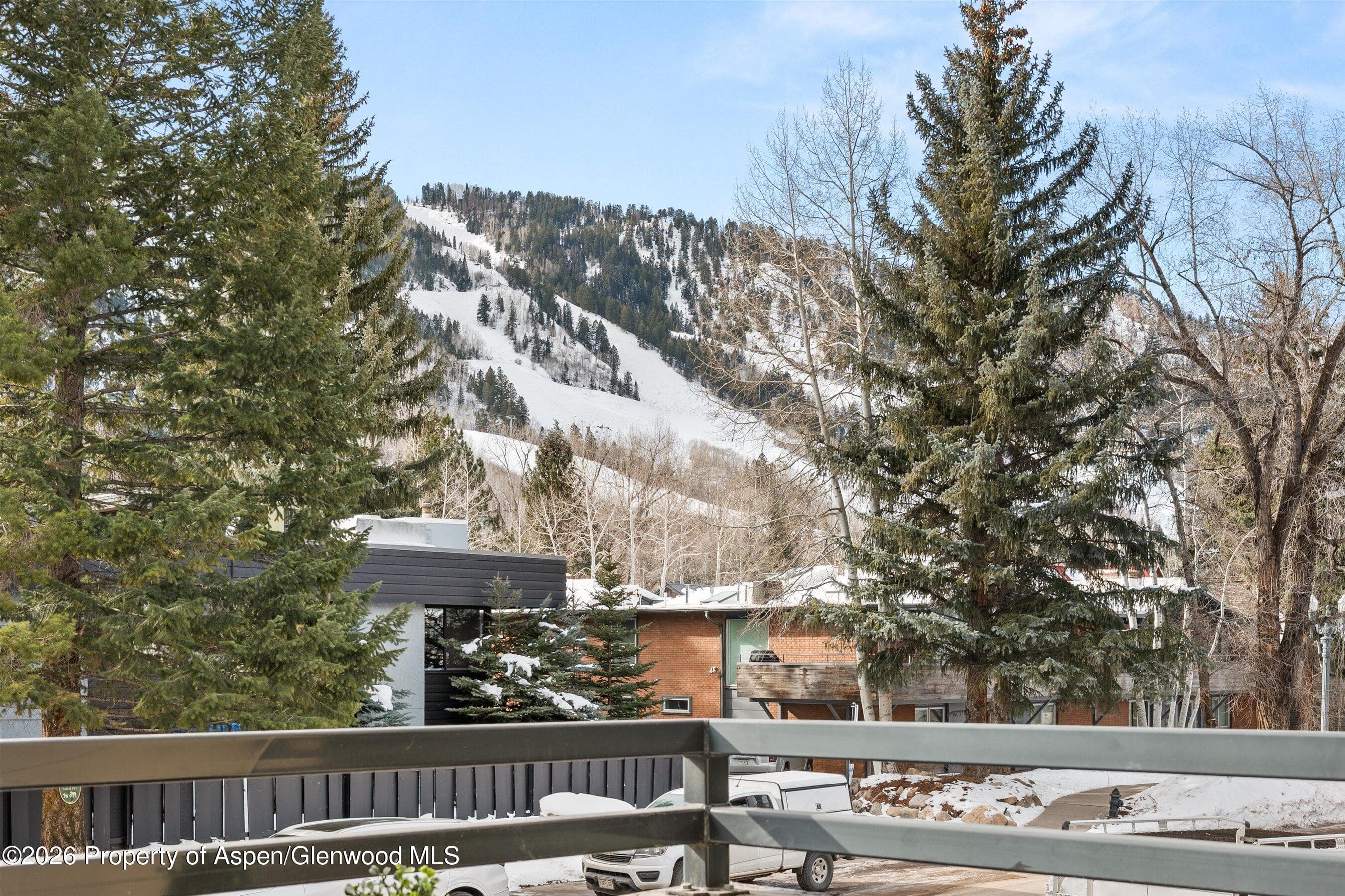 1024 E Cooper Avenue 3a, Aspen, CO 81611 - Photo 17
