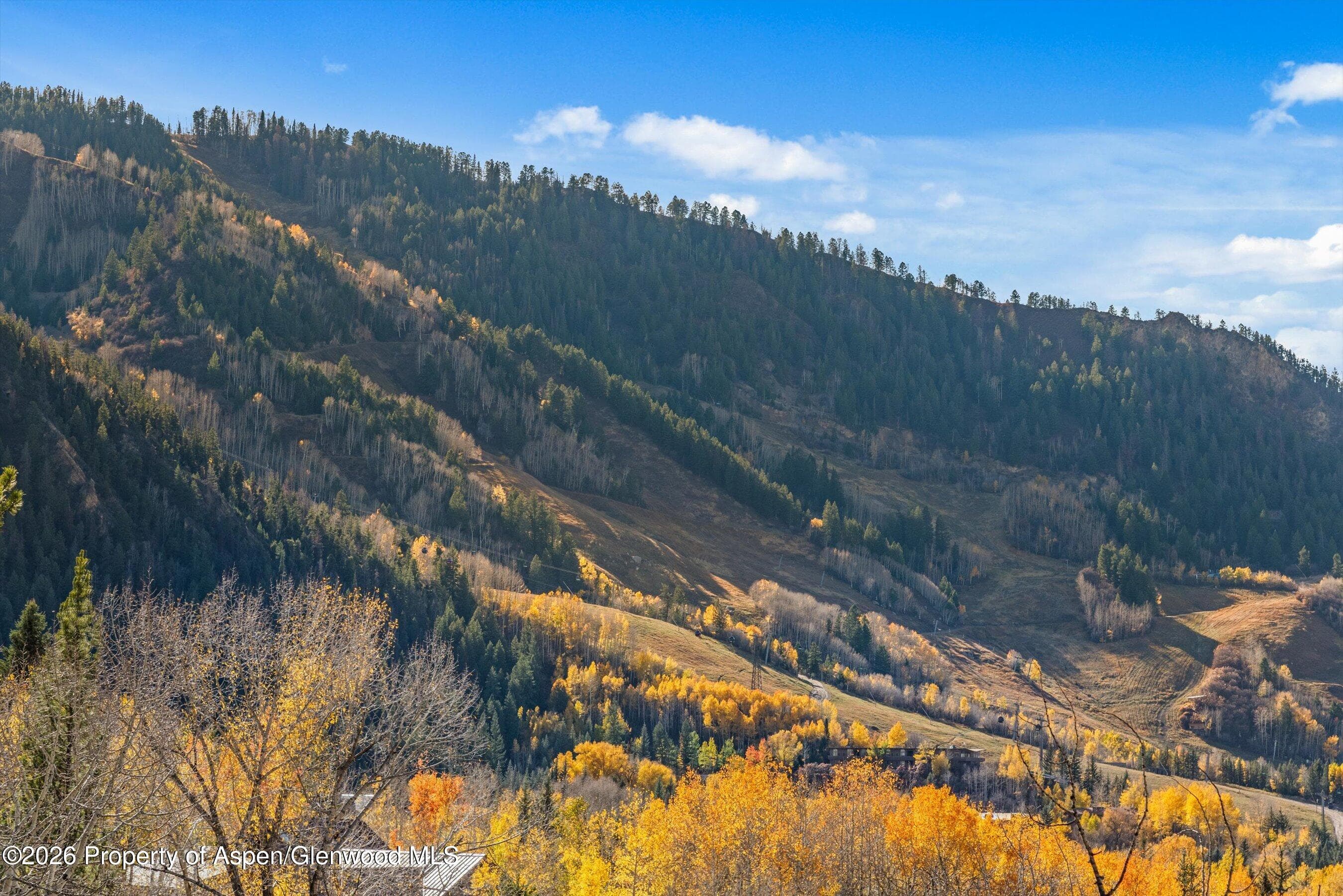 191 Skimming Lane, Aspen, CO 81611 - Photo 9