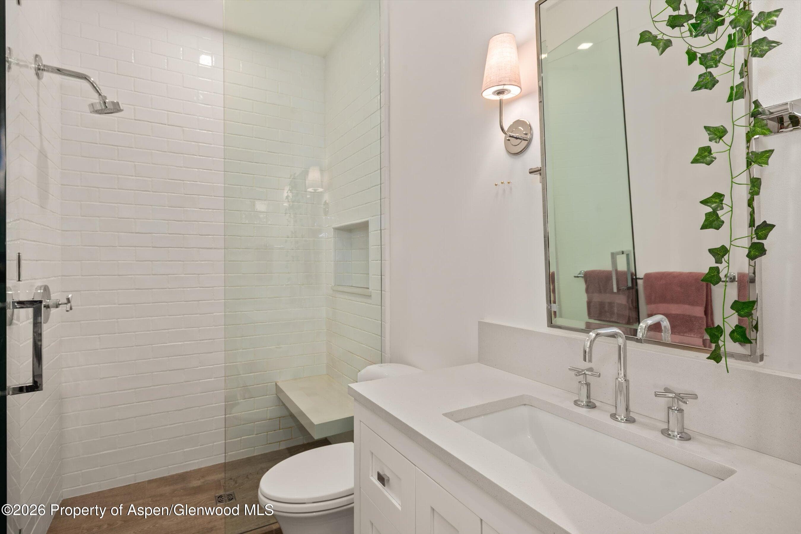 191 Skimming Lane, Aspen, CO 81611 - Photo 60