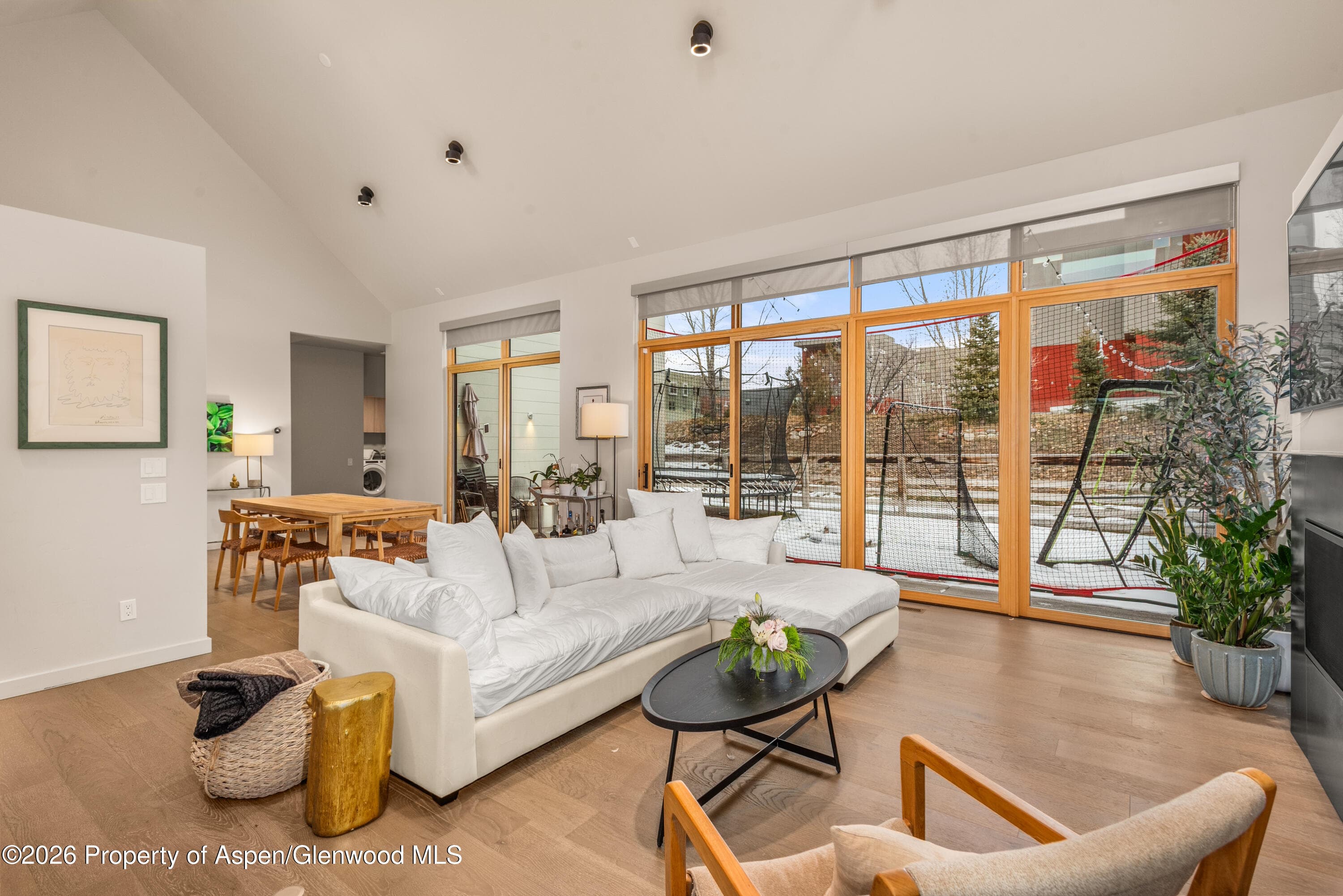 113 Valley Court, Basalt, CO 81621 - Photo 7
