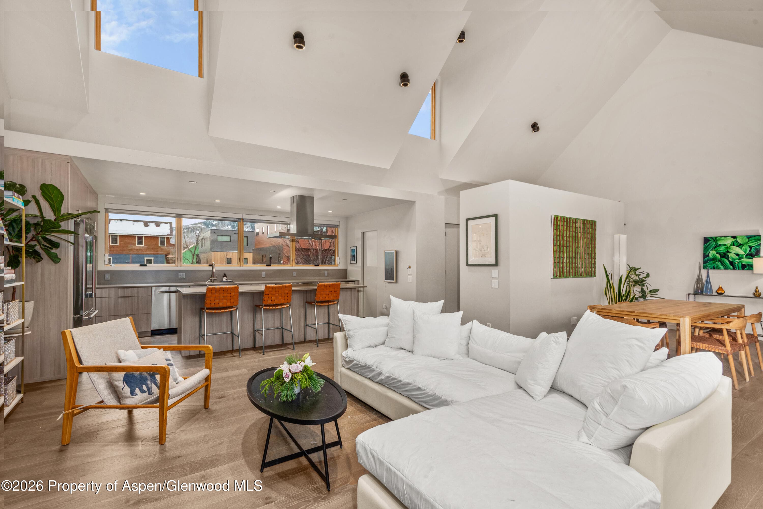 113 Valley Court, Basalt, CO 81621 - Photo 8