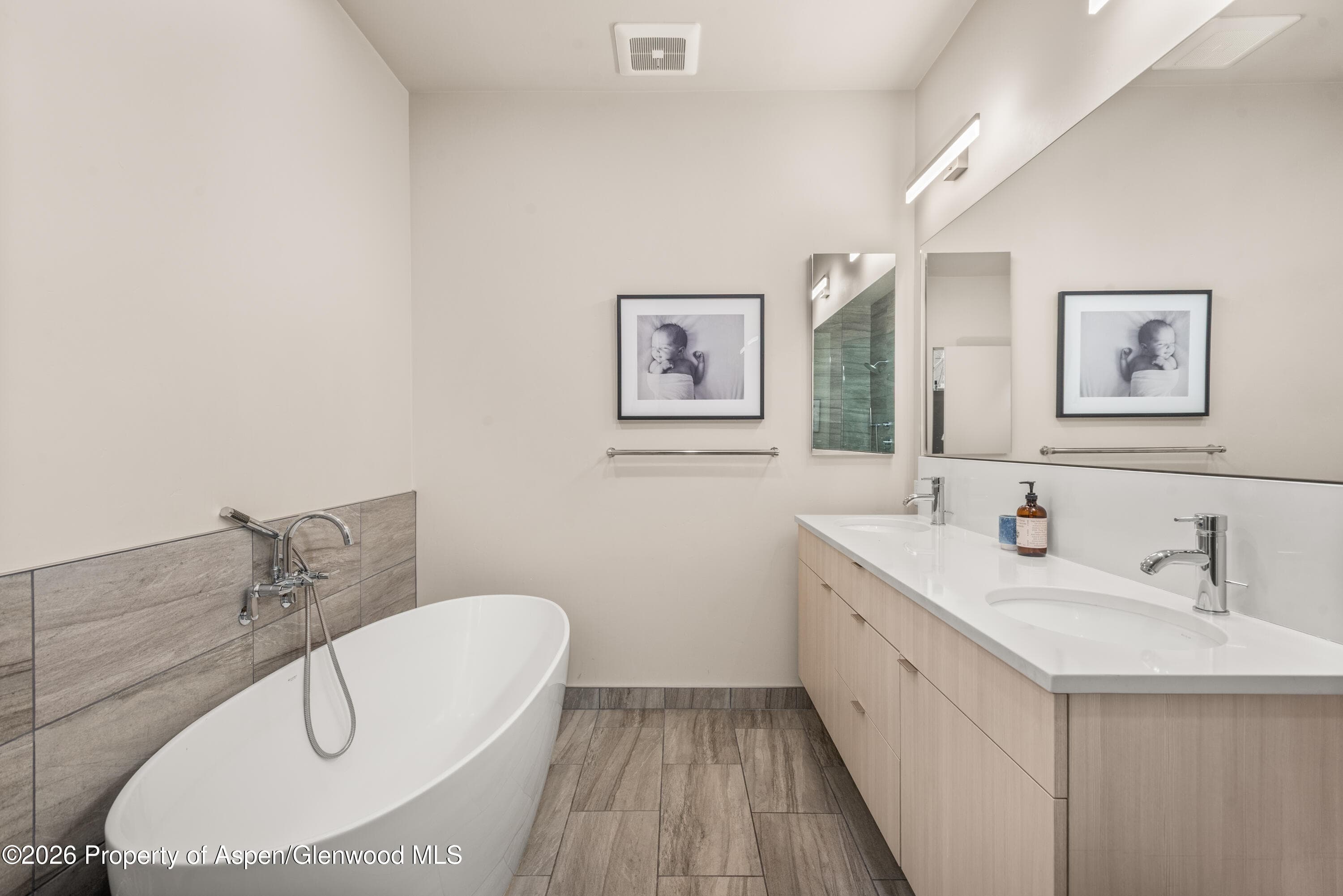 113 Valley Court, Basalt, CO 81621 - Photo 19