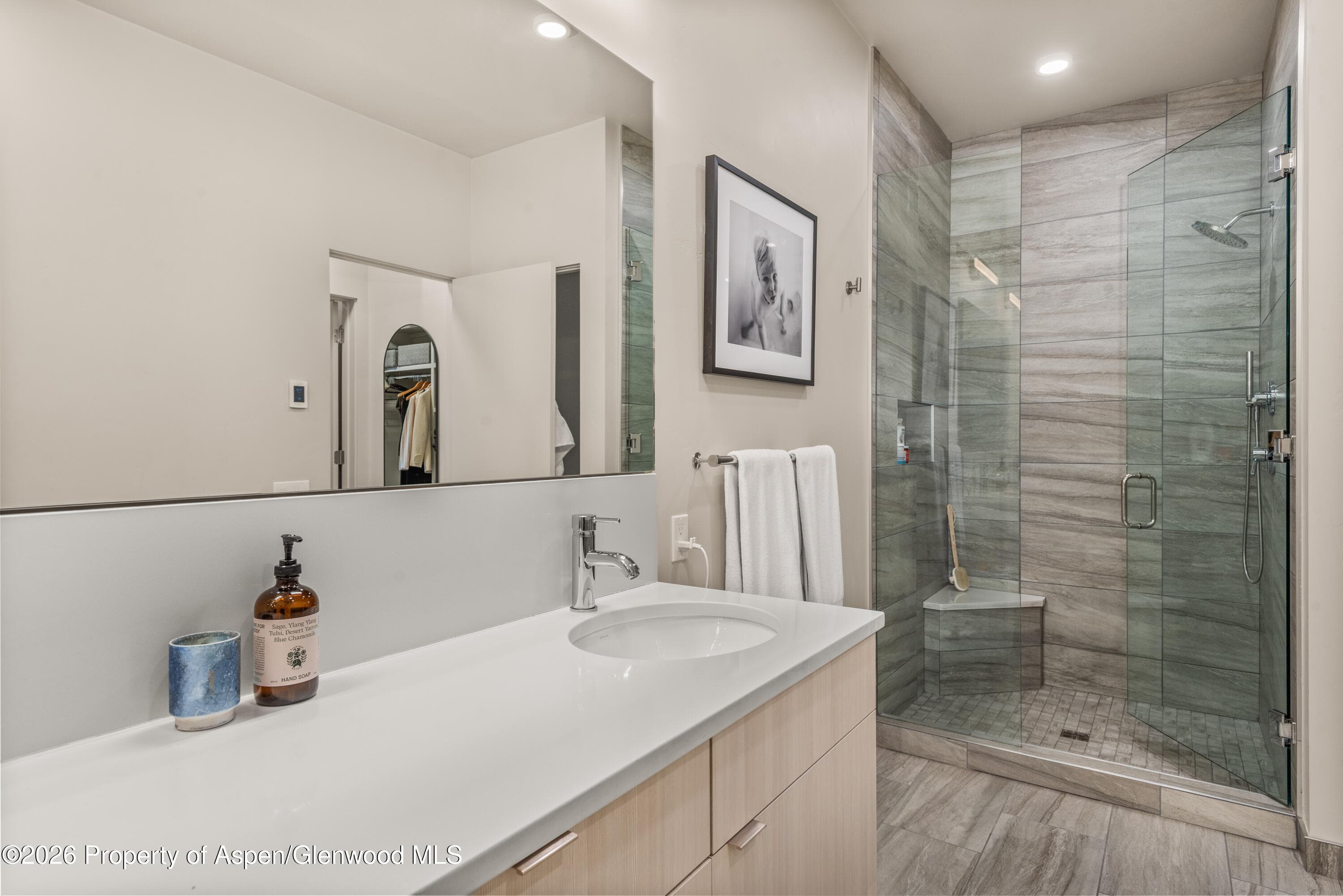 113 Valley Court, Basalt, CO 81621 - Photo 20