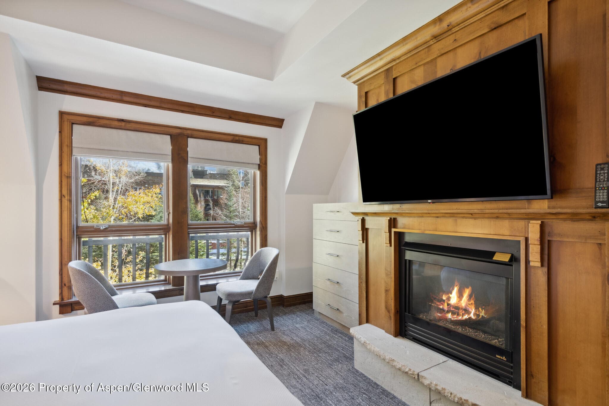 415 E Dean St., Unit 35, Week 30, Aspen, CO 81611 - Photo 17