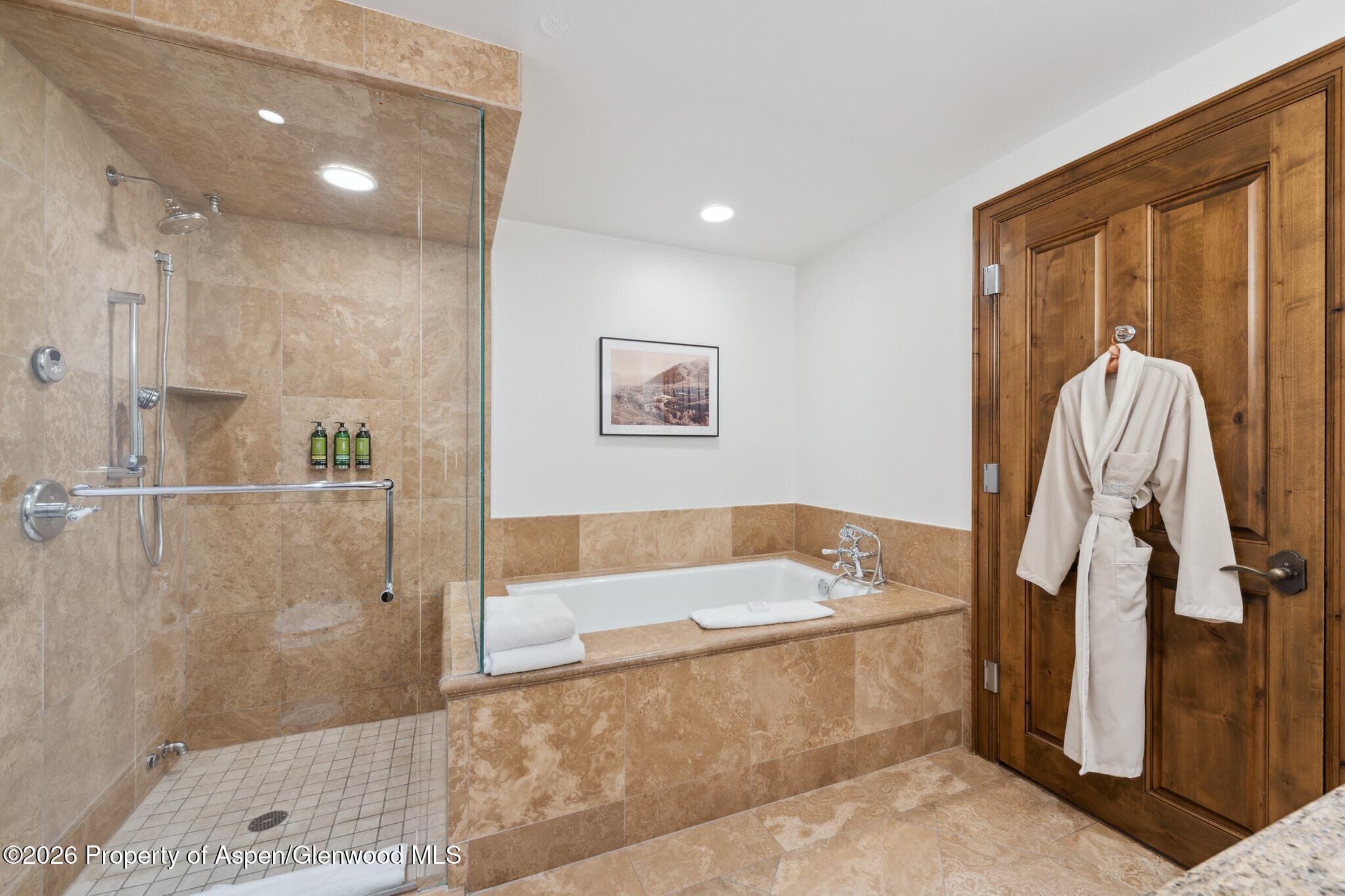415 E Dean St., Unit 35, Week 30, Aspen, CO 81611 - Photo 19