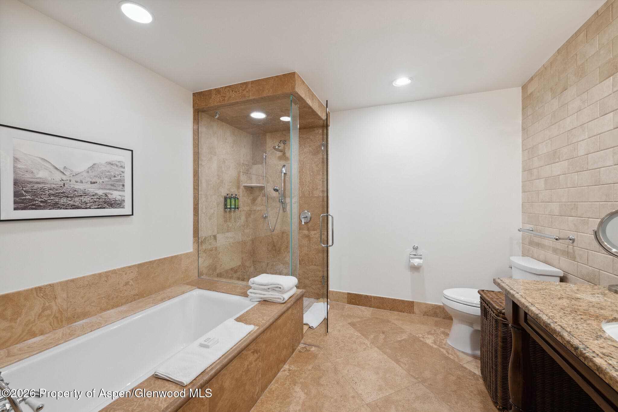 415 E Dean St., Unit 35, Week 30, Aspen, CO 81611 - Photo 24