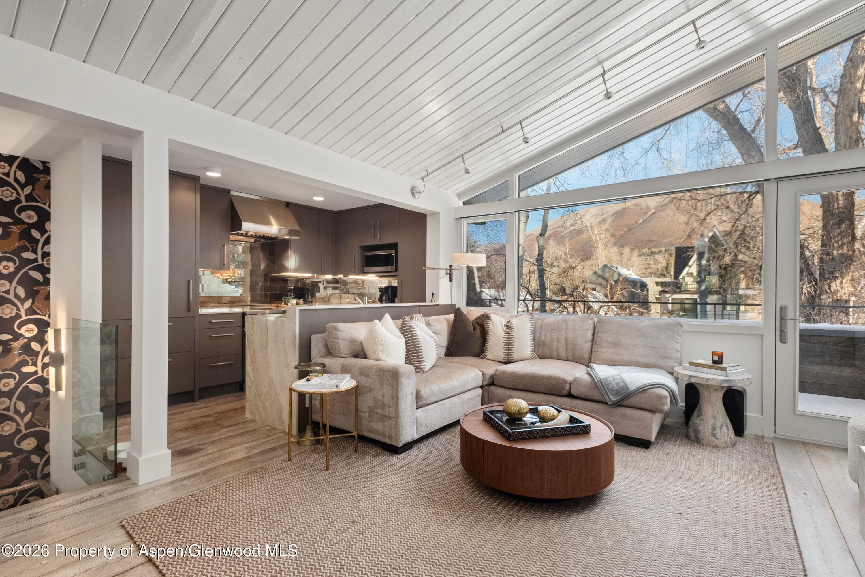 1001 E Cooper Avenue 2, Aspen, CO 81611 - Photo 4