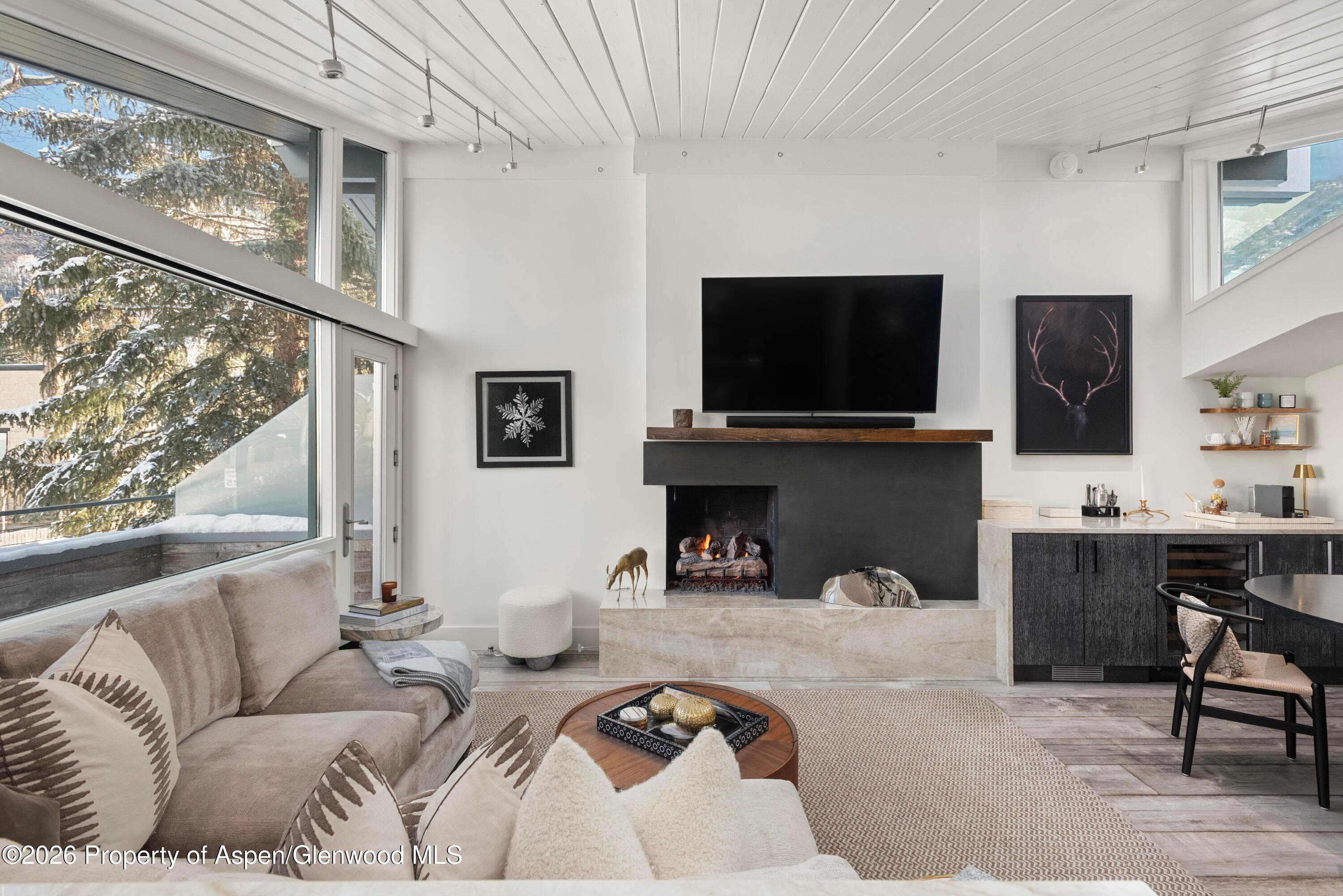 1001 E Cooper Avenue 2, Aspen, CO 81611 - Photo 5