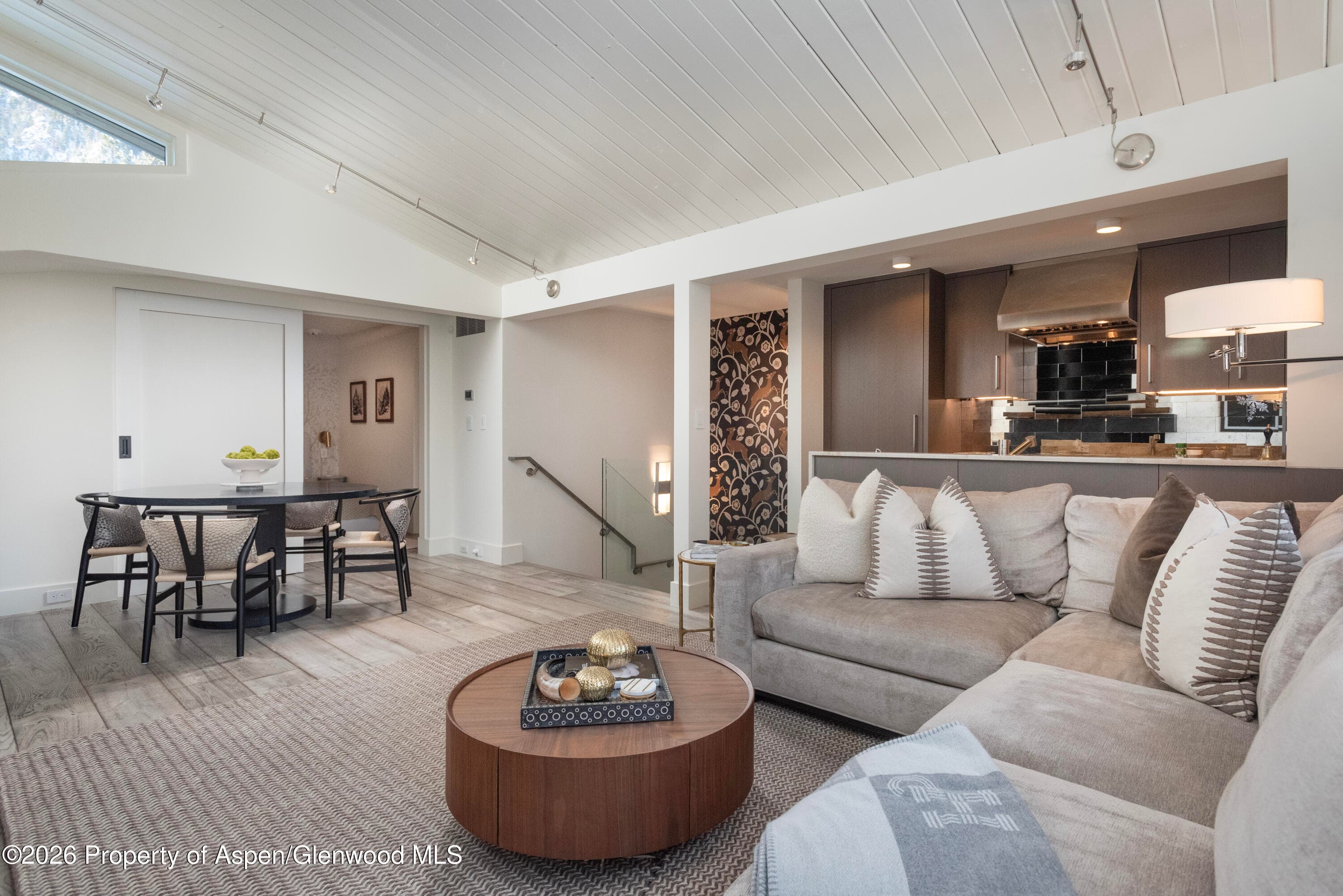 1001 E Cooper Avenue 2, Aspen, CO 81611 - Photo 3