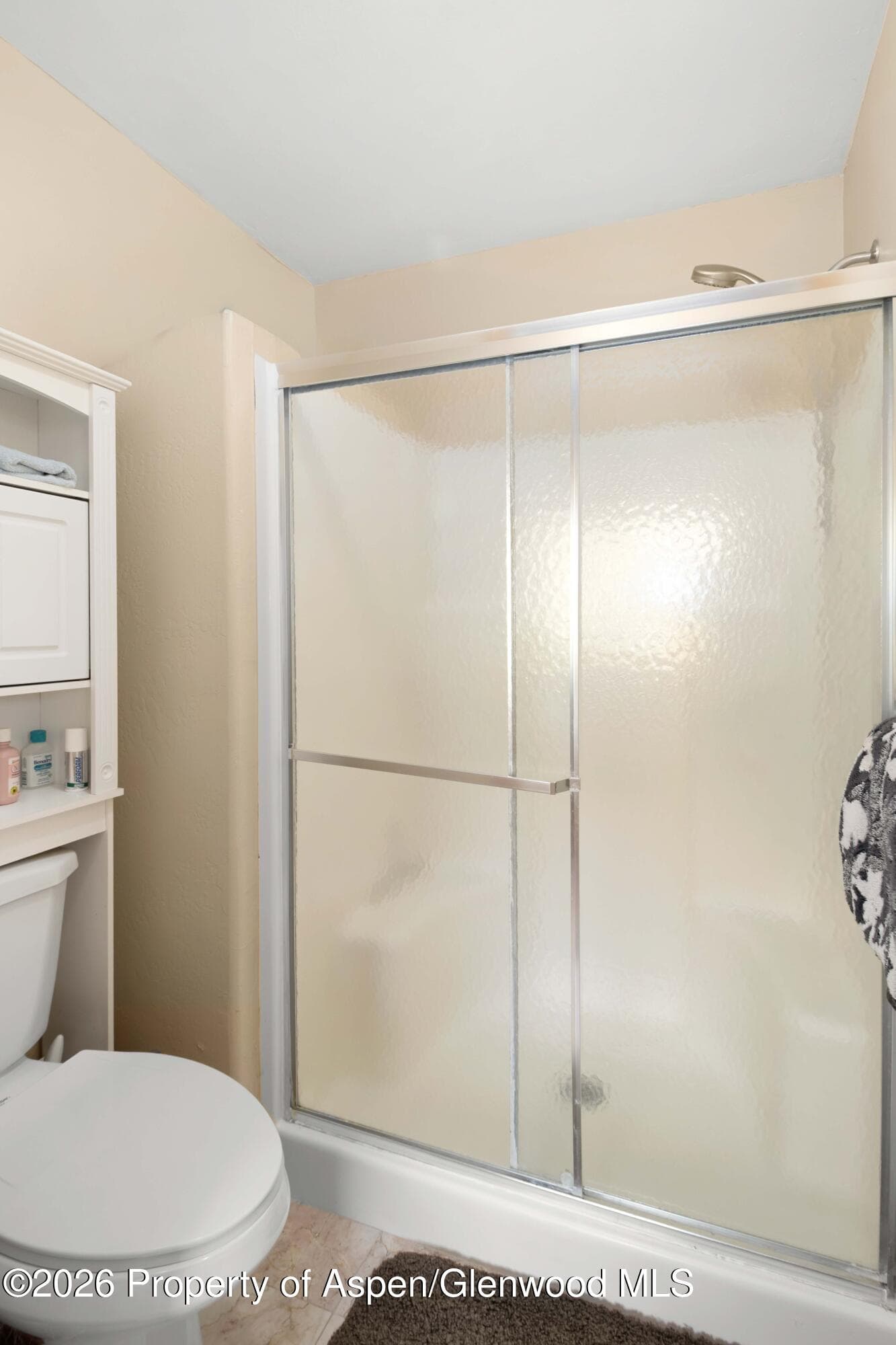83 Native Springs Drive, Rifle, CO 81650 - Photo 22