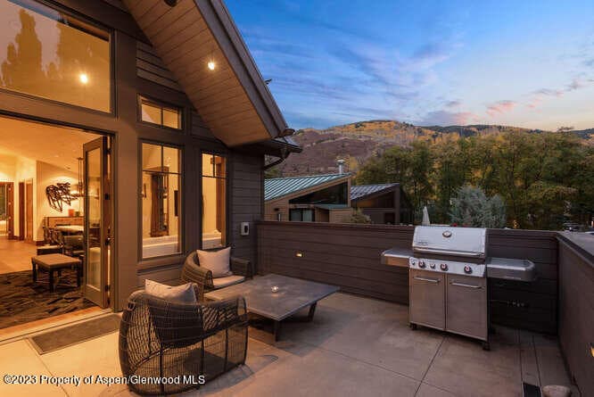 719 E Hopkins Avenue 202, Aspen, CO 81611 - Photo 3
