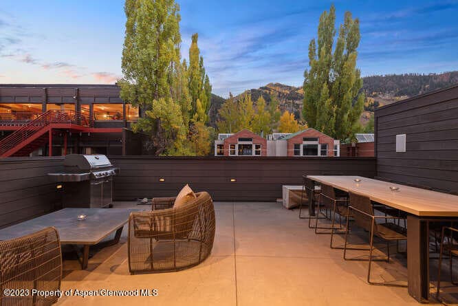 719 E Hopkins Avenue 202, Aspen, CO 81611 - Photo 11
