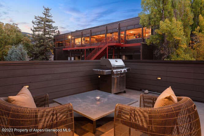 719 E Hopkins Avenue 202, Aspen, CO 81611 - Photo 13