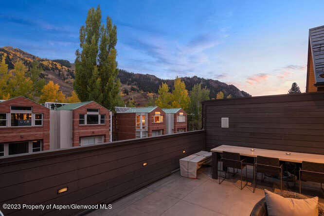 719 E Hopkins Avenue 202, Aspen, CO 81611 - Photo 14