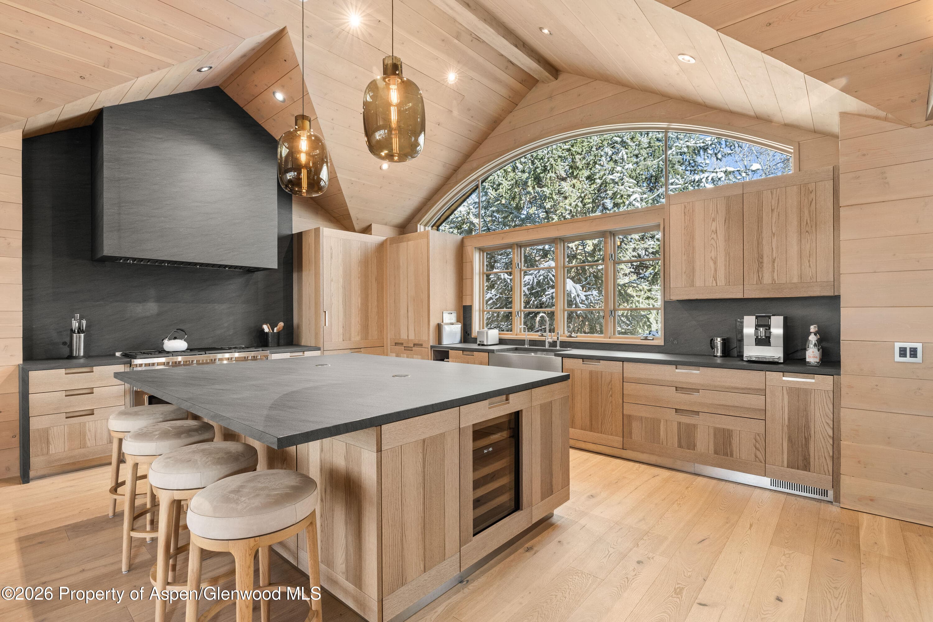 821 E Cooper Avenue, Aspen, CO 81611 - Photo 2