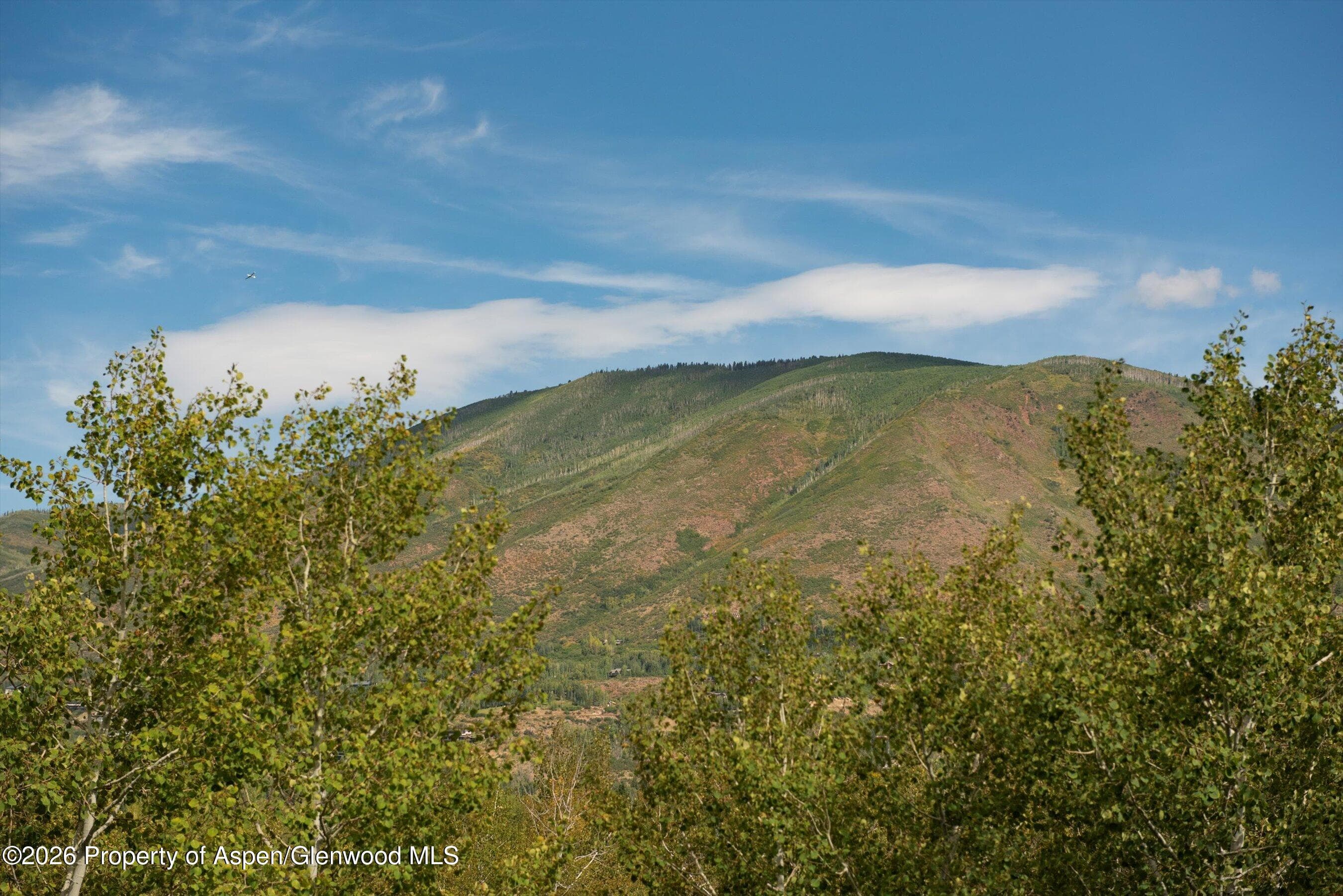 1271 Ute Avenue, Aspen, CO 81611 - Photo 47