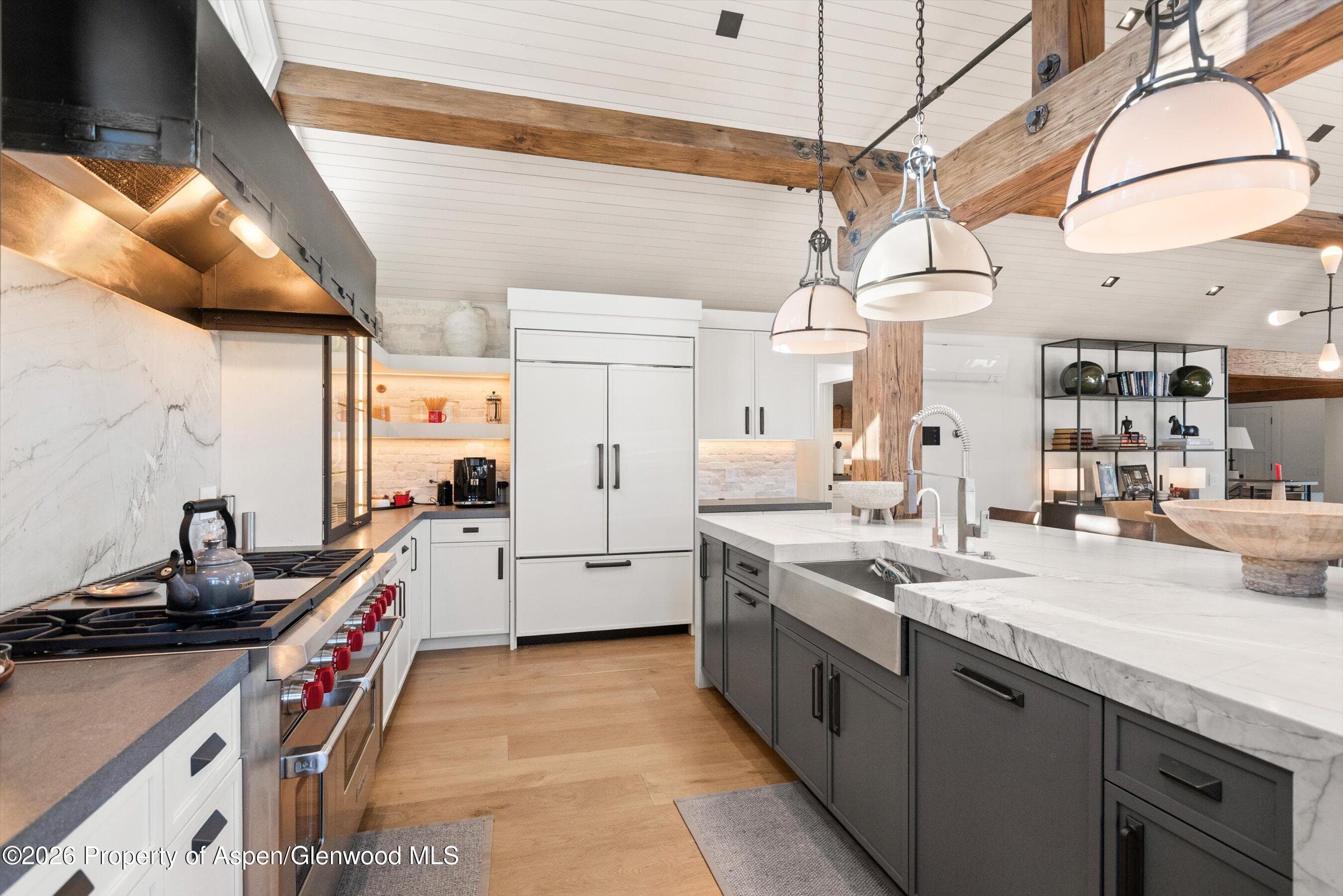1271 Ute Avenue, Aspen, CO 81611 - Photo 10