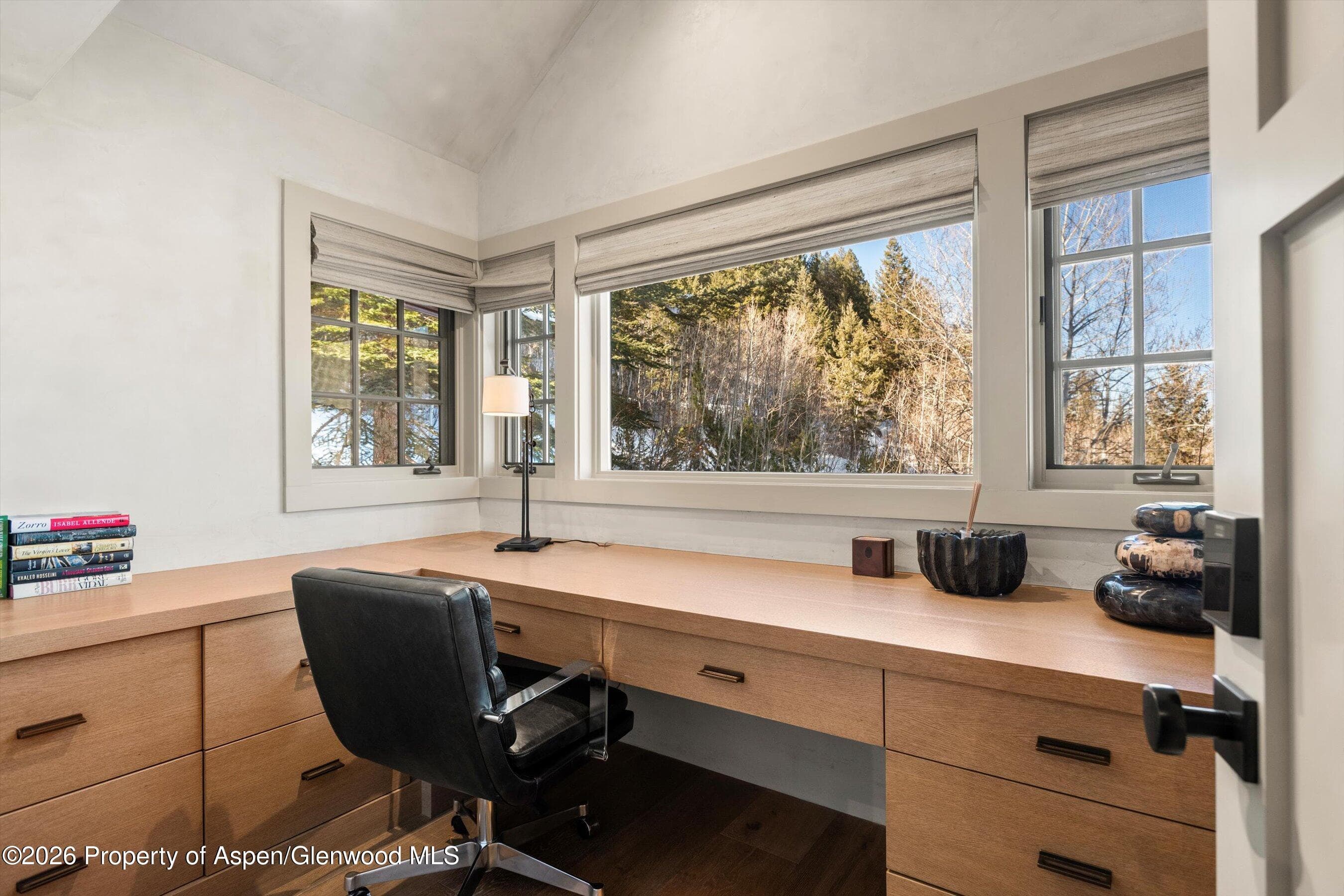 1271 Ute Avenue, Aspen, CO 81611 - Photo 14