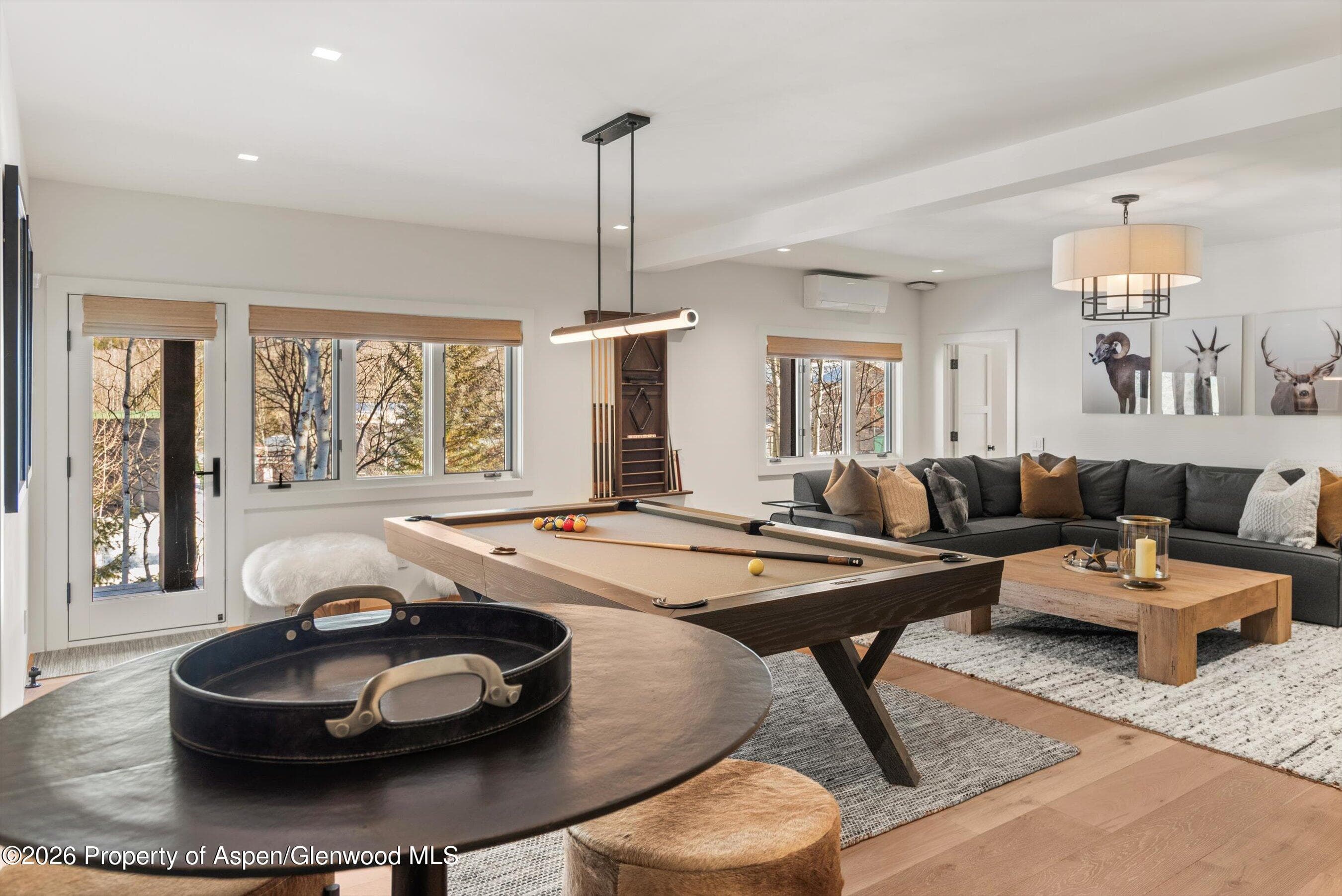 1271 Ute Avenue, Aspen, CO 81611 - Photo 19